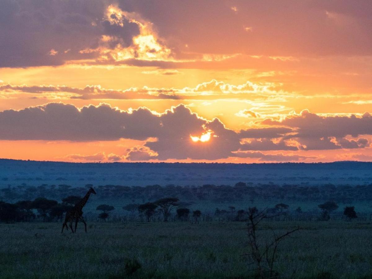 Serengeti National Park Vacations - Serengeti Sound of Silence - Property Image 14