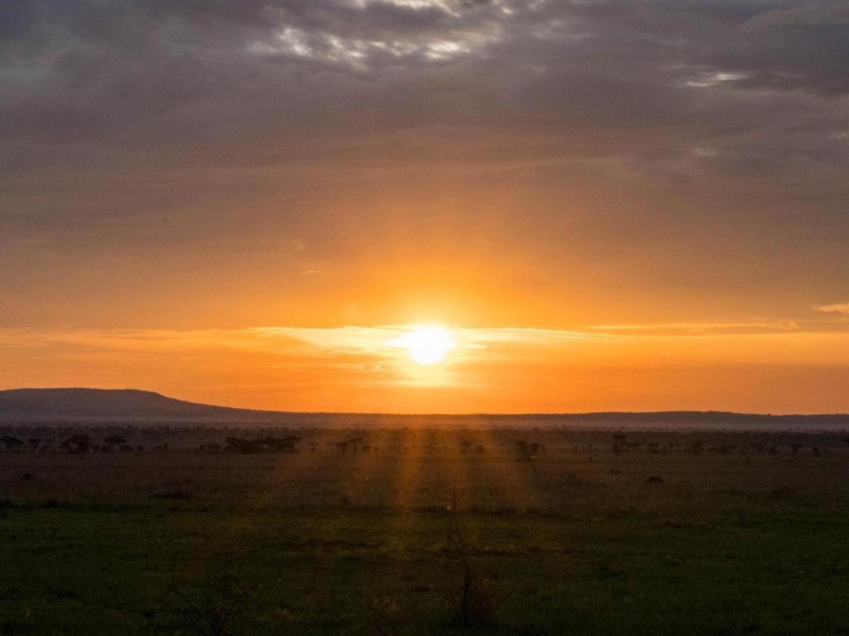 Serengeti National Park Vacations - Serengeti Sound of Silence - Property Image 15