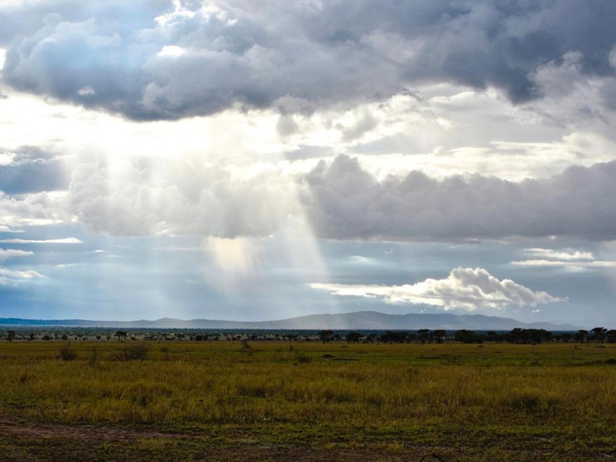 Serengeti National Park Vacations - Serengeti Sound of Silence - Property Image 18