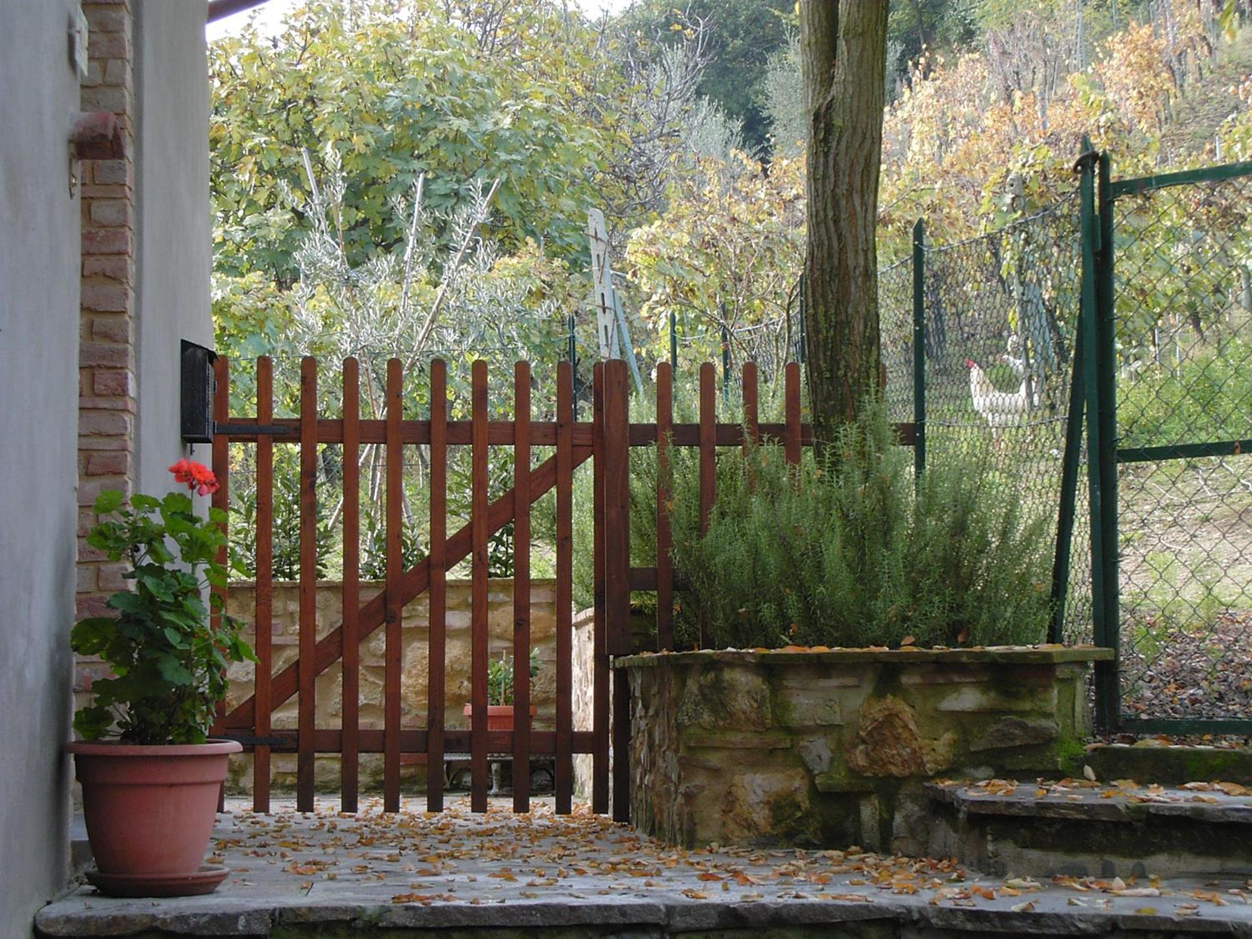 Photo 21