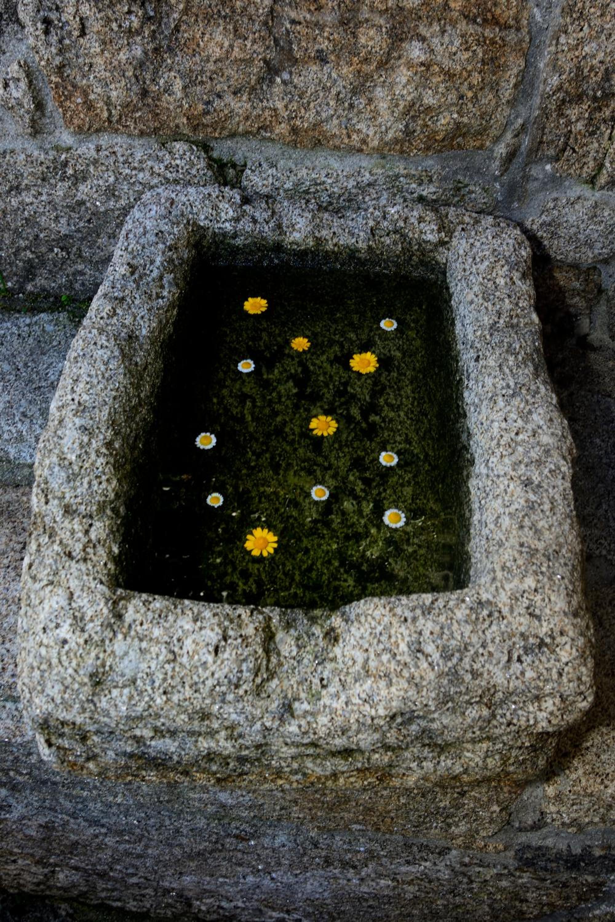 Photo 47