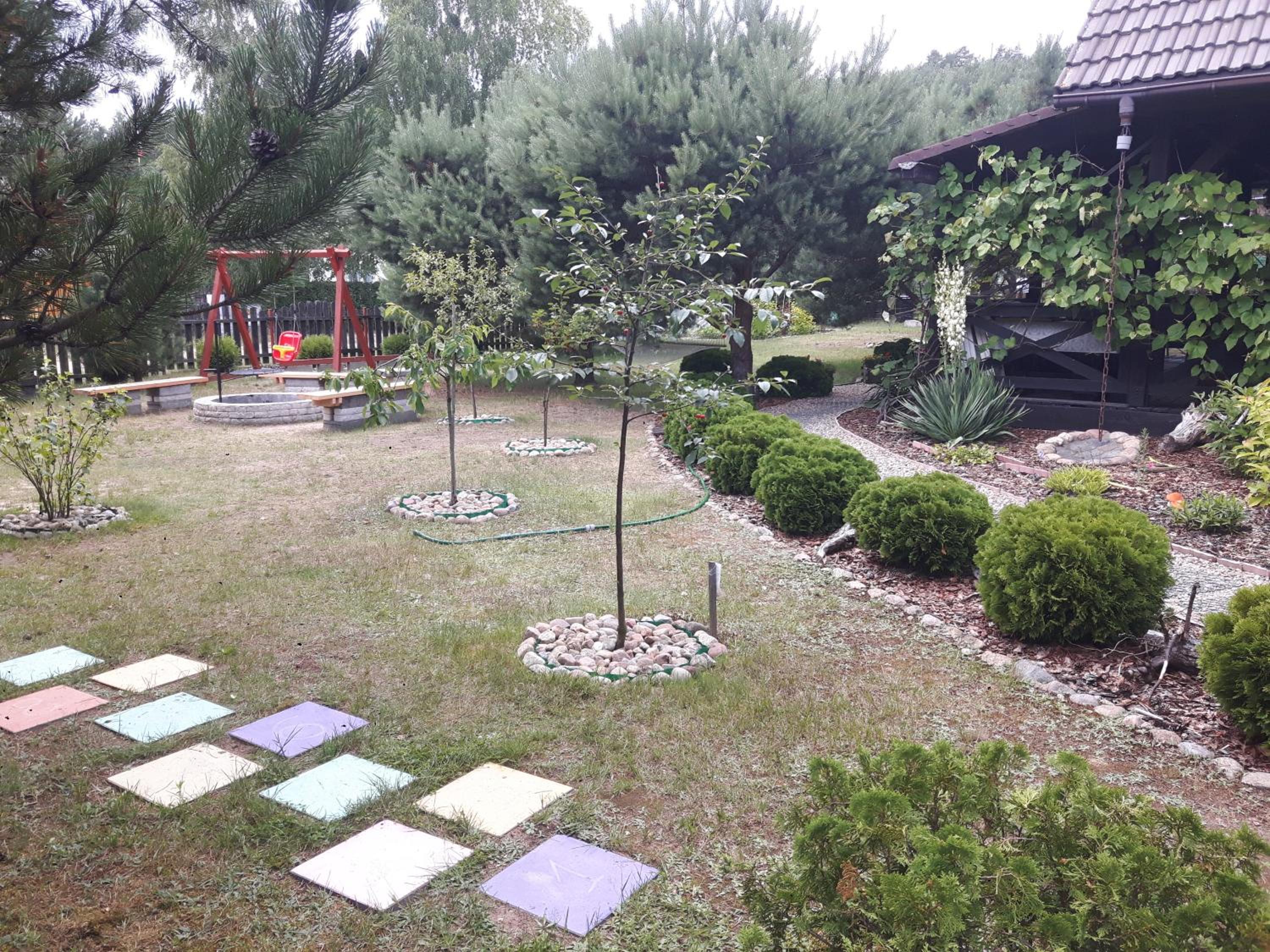Photo 7