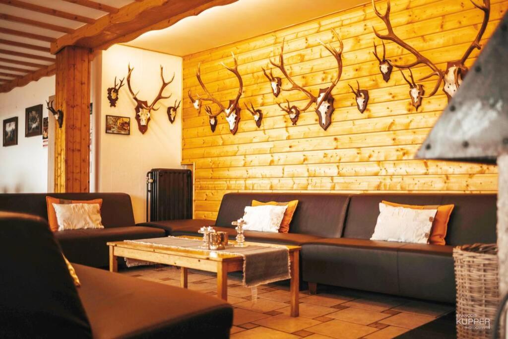 La Harde 31 pers Malmedy, vue, wellness, jardin