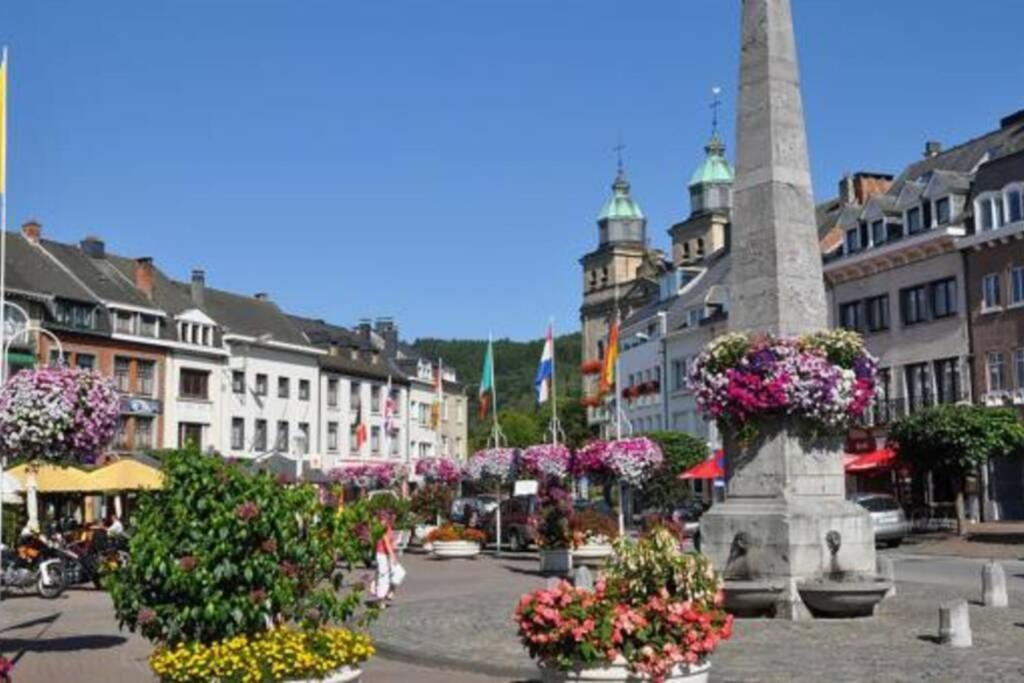 La Harde 31 pers Malmedy, vue, wellness, jardin