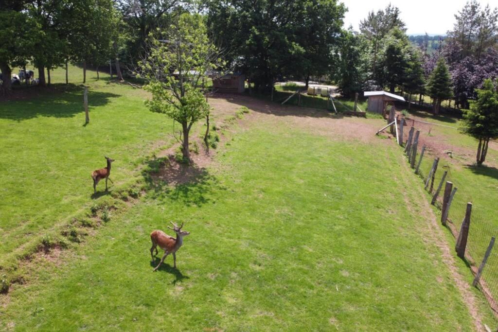 La Harde 31 pers Malmedy, vue, wellness, jardin