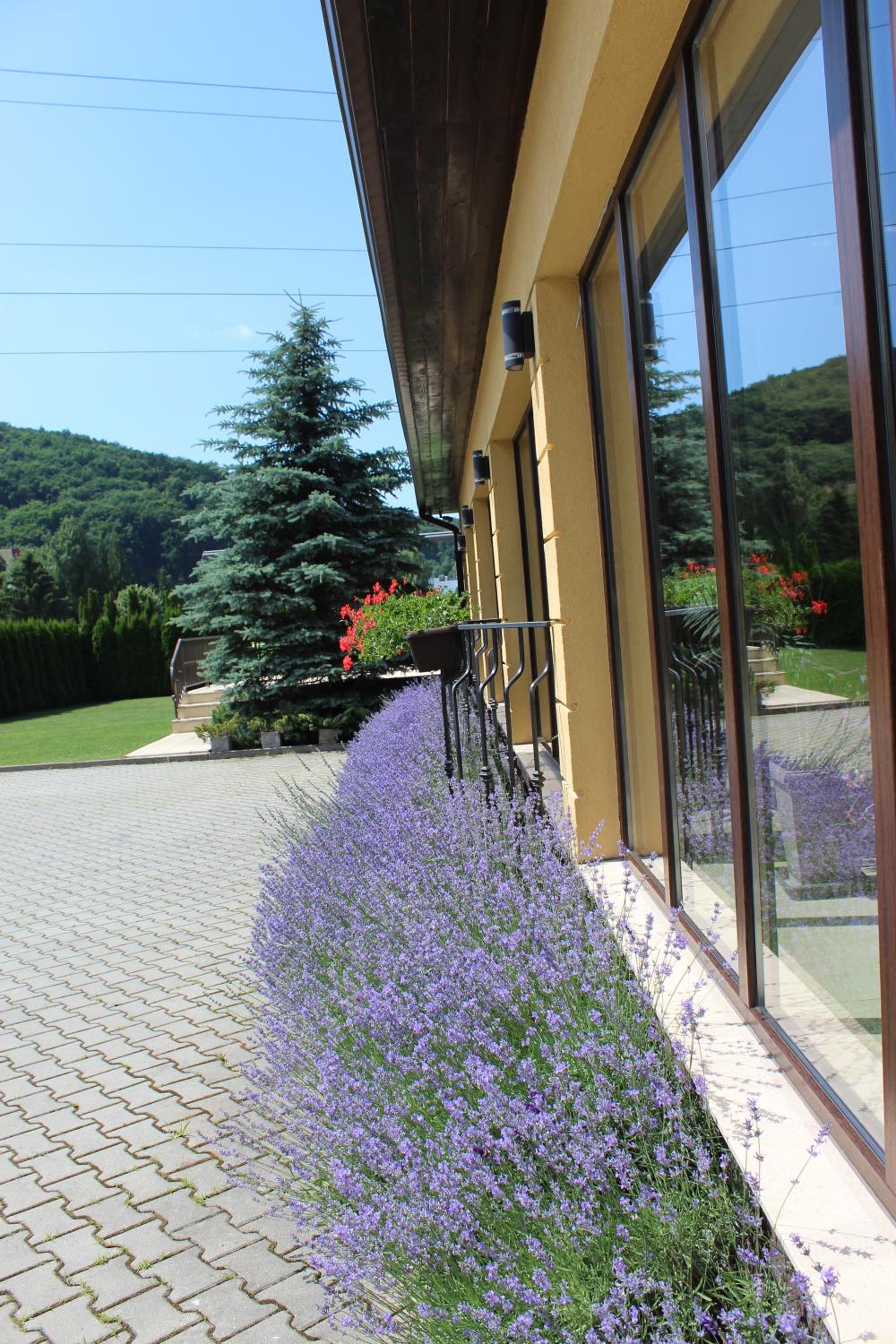 Vila Trapez view 5