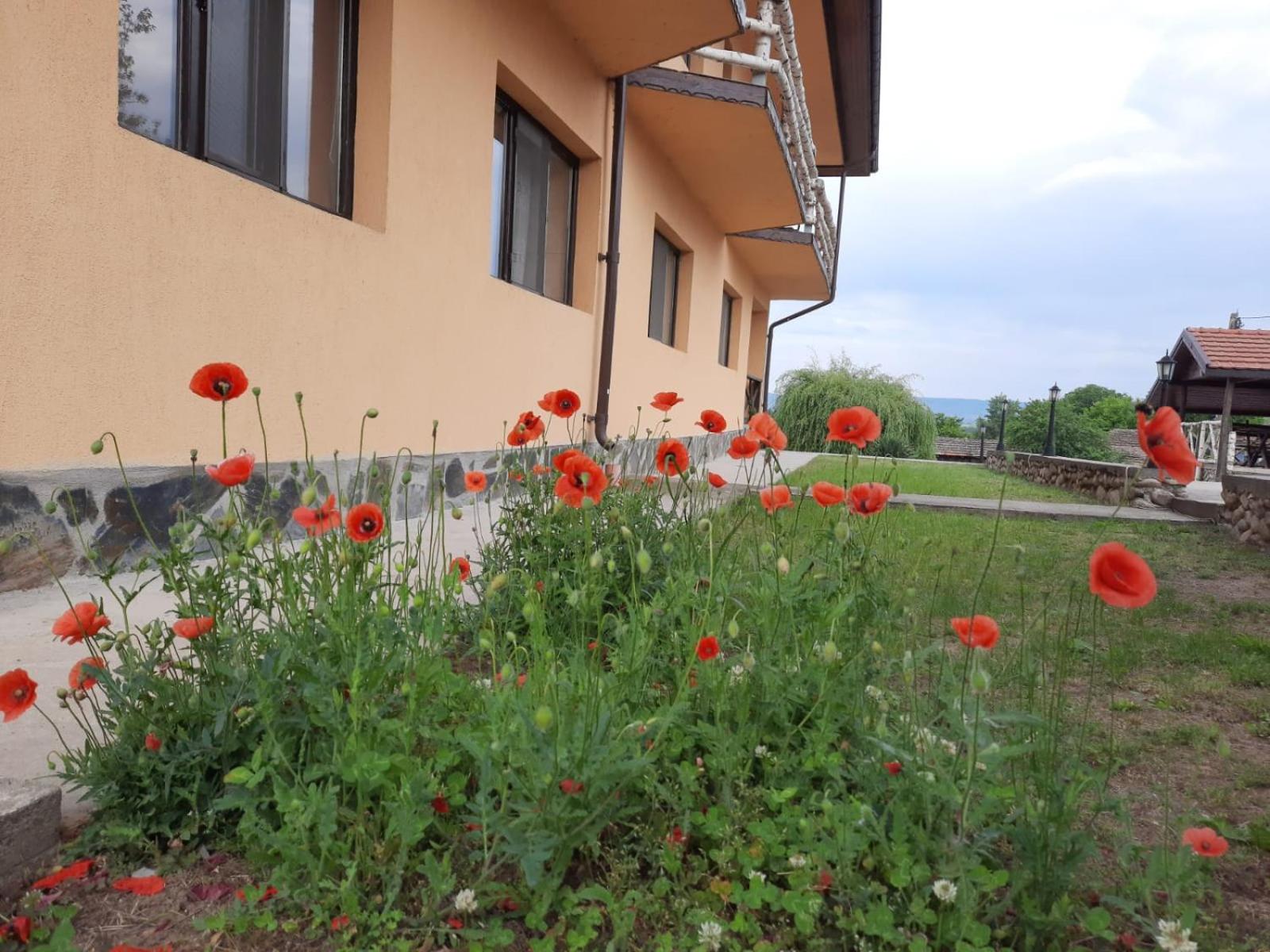 Photo 24