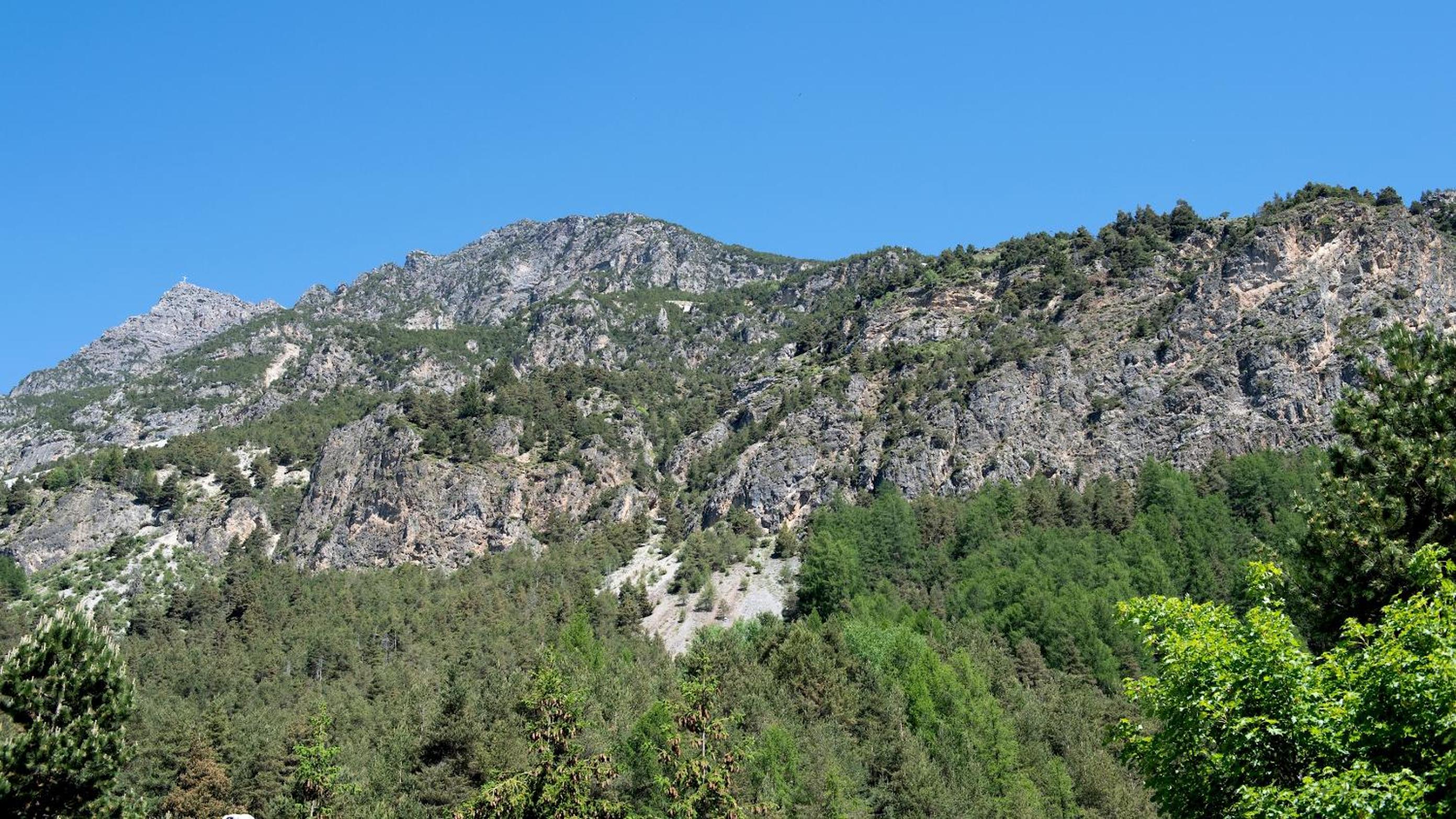 Belvedere 28 - Genziana view 3