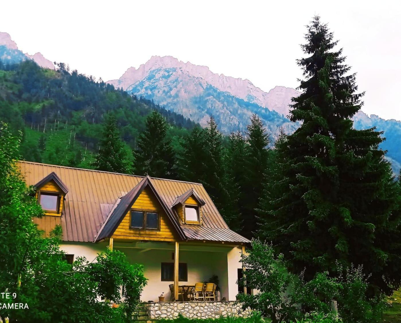 Guest house Albjoni