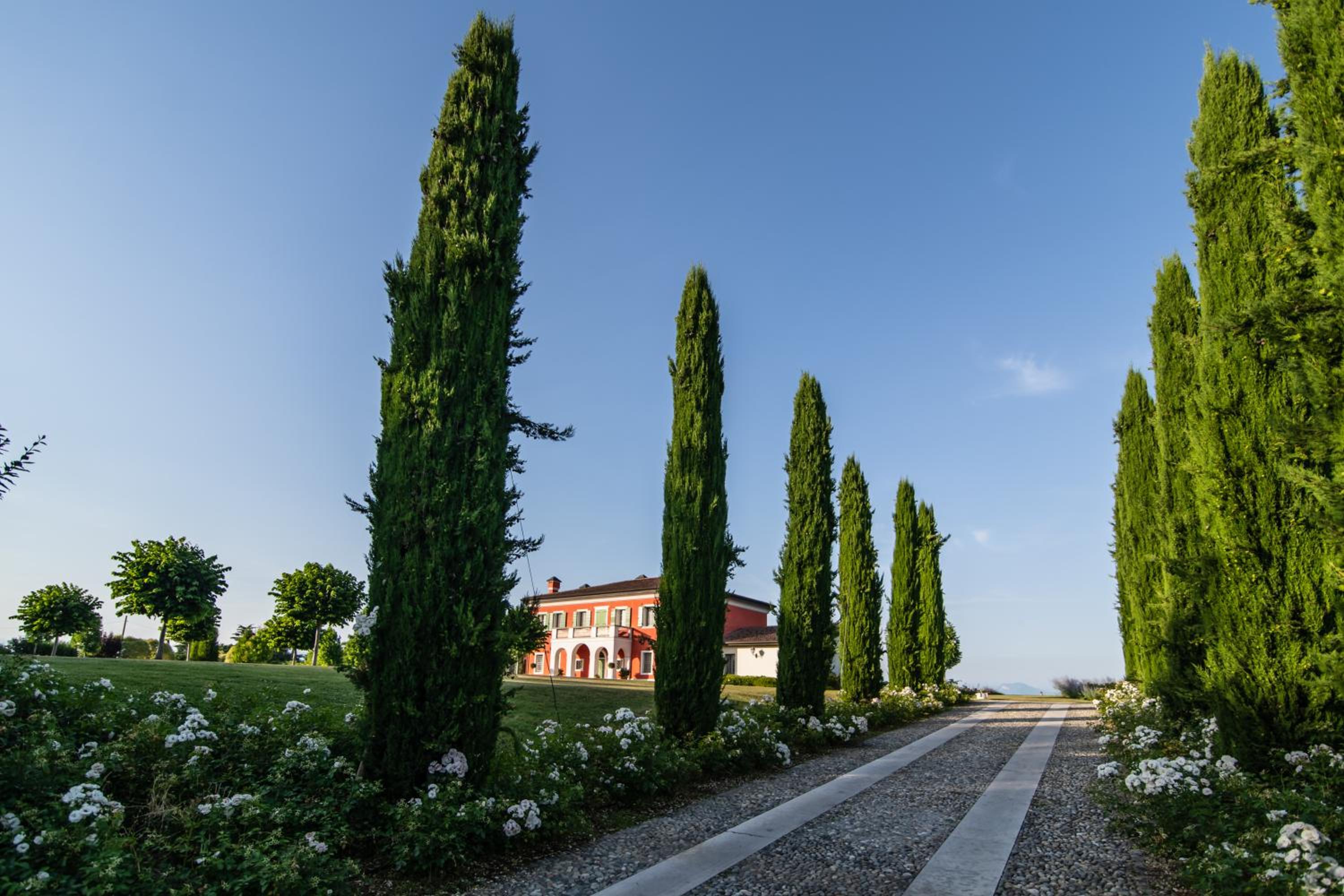 Villa San Pietro view 4