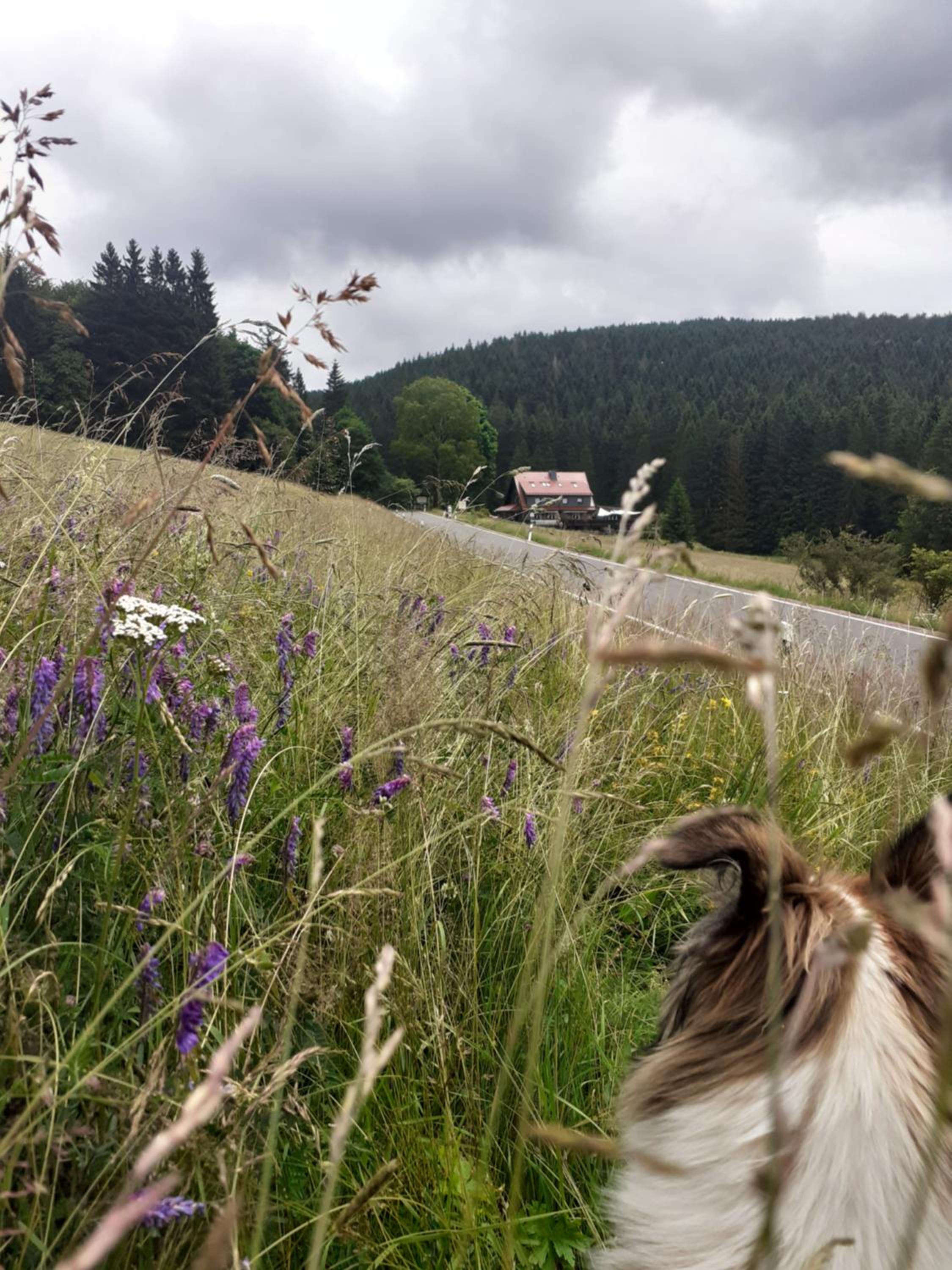 Ferienhaus Gasthof Kanzlersgrund