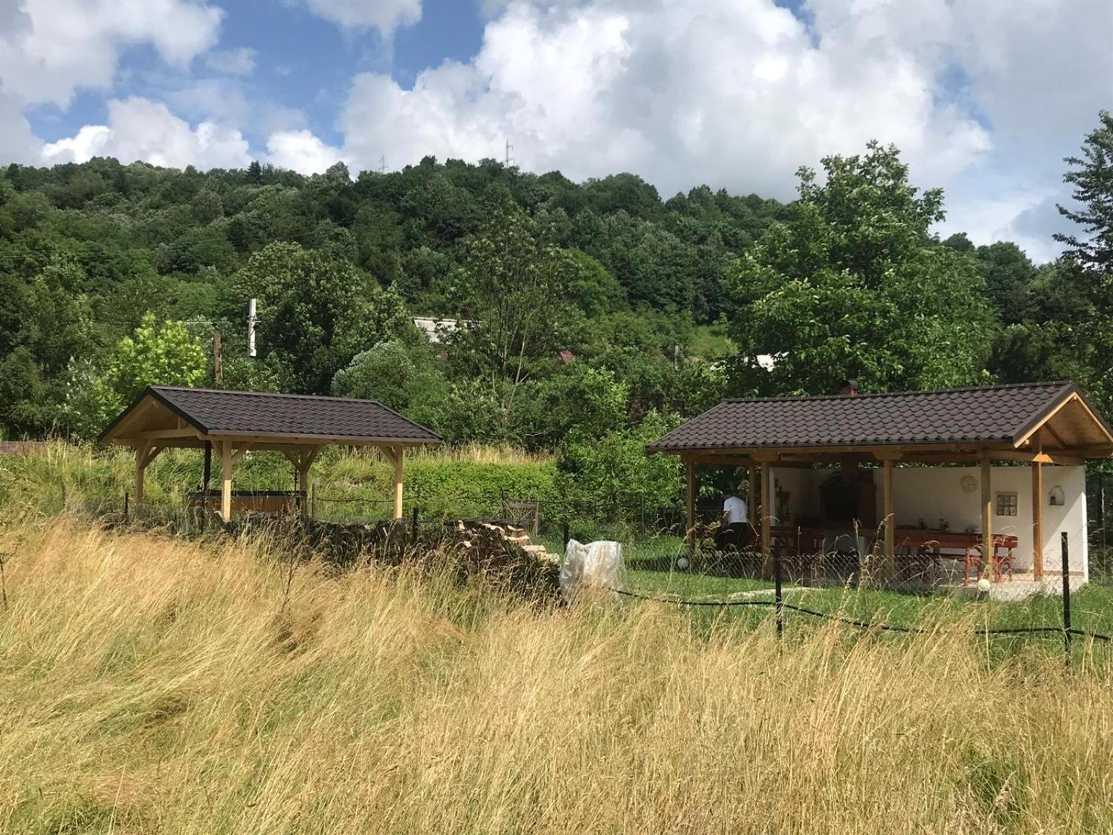 Guest House Carpathia view 4