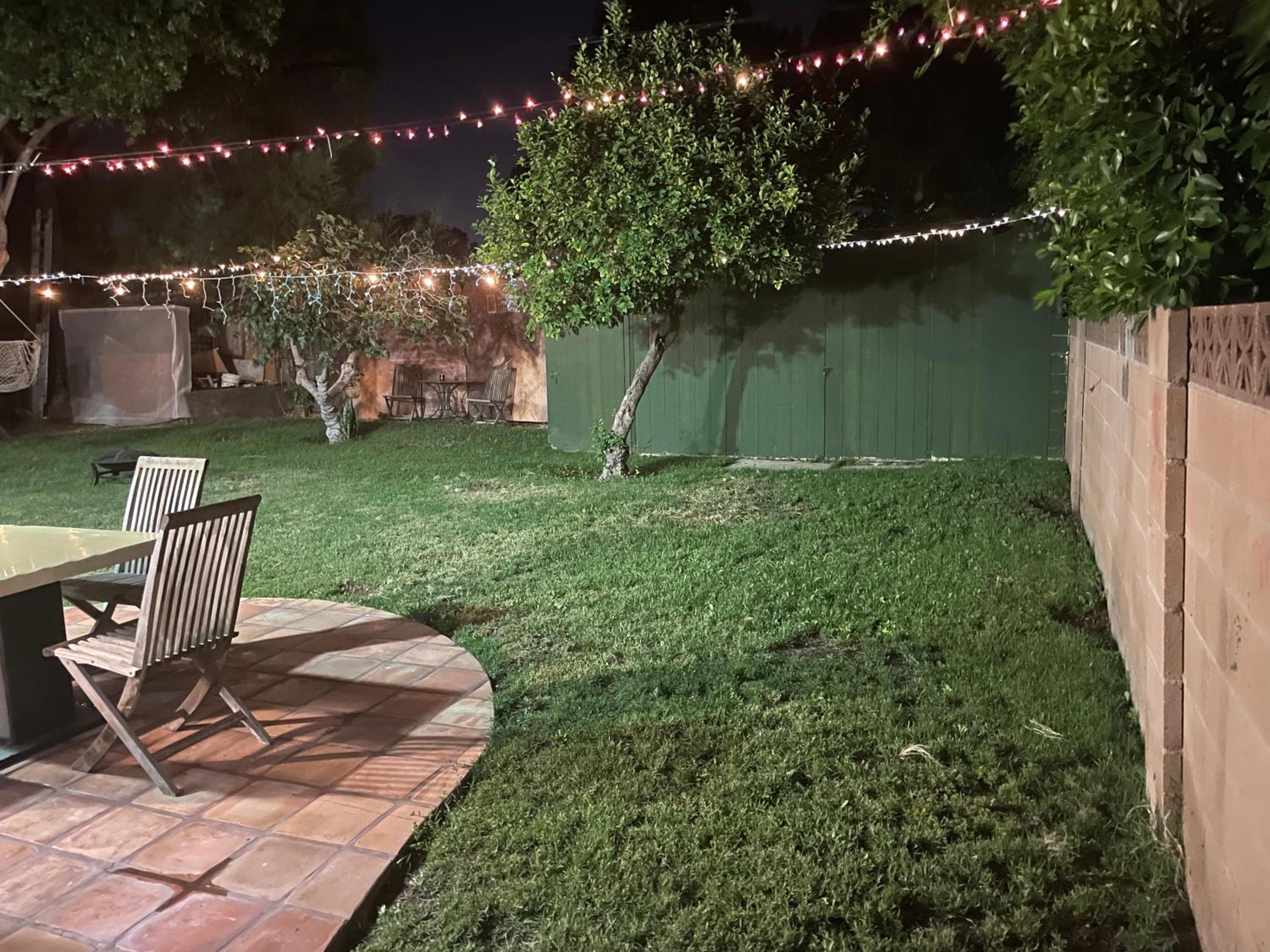 Photo 23