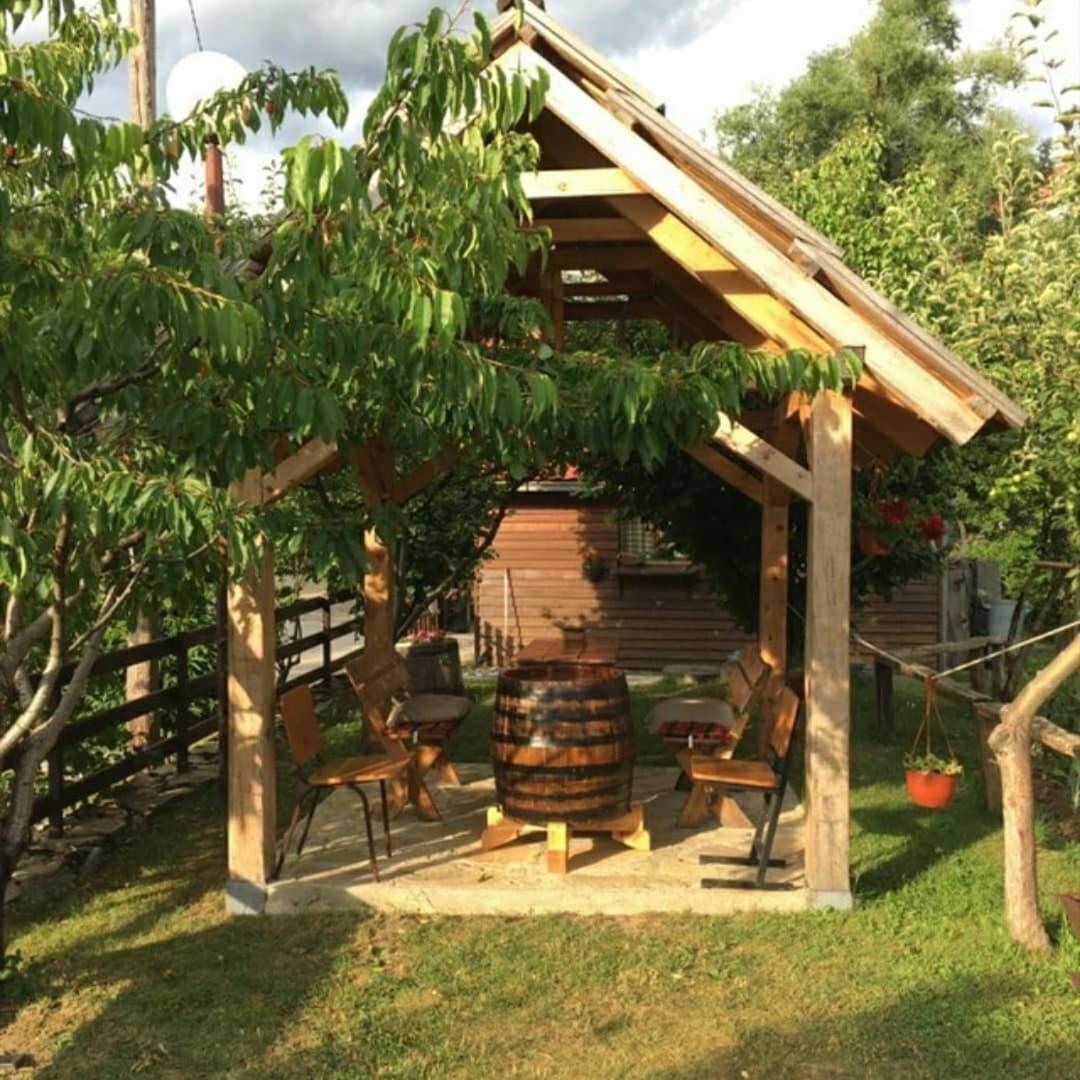 Photo 12