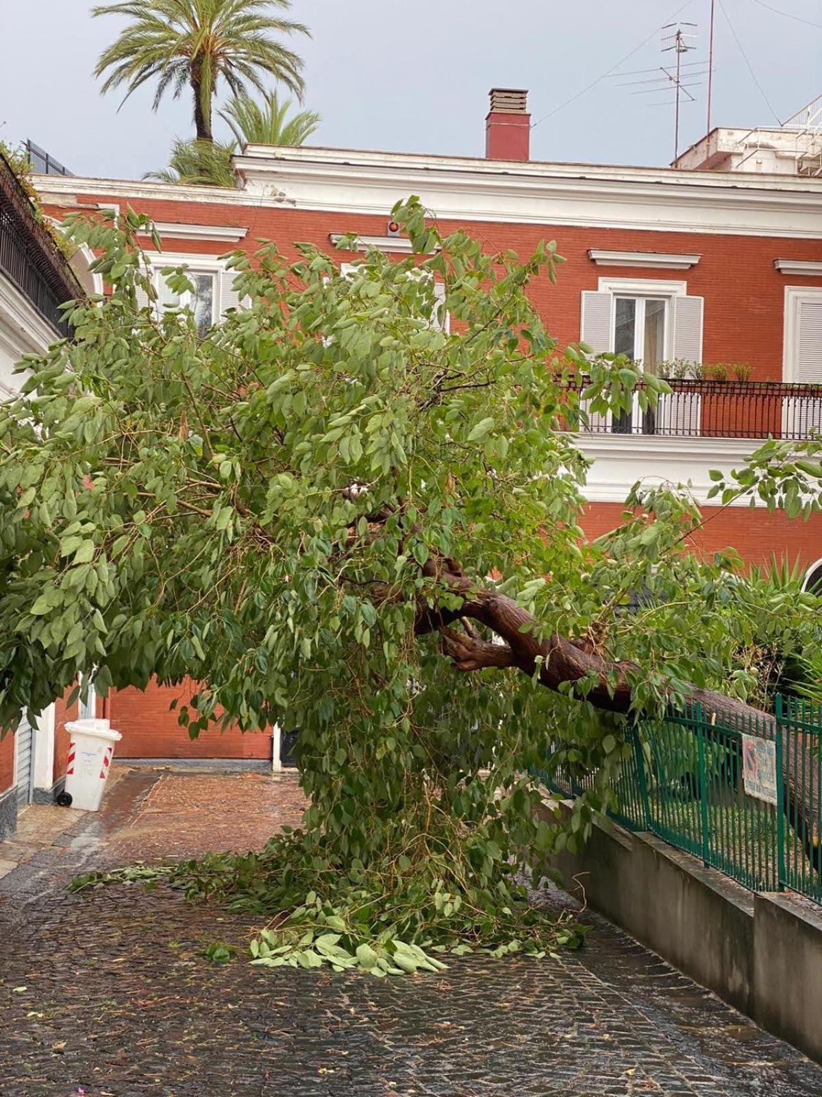 B-Montedidio