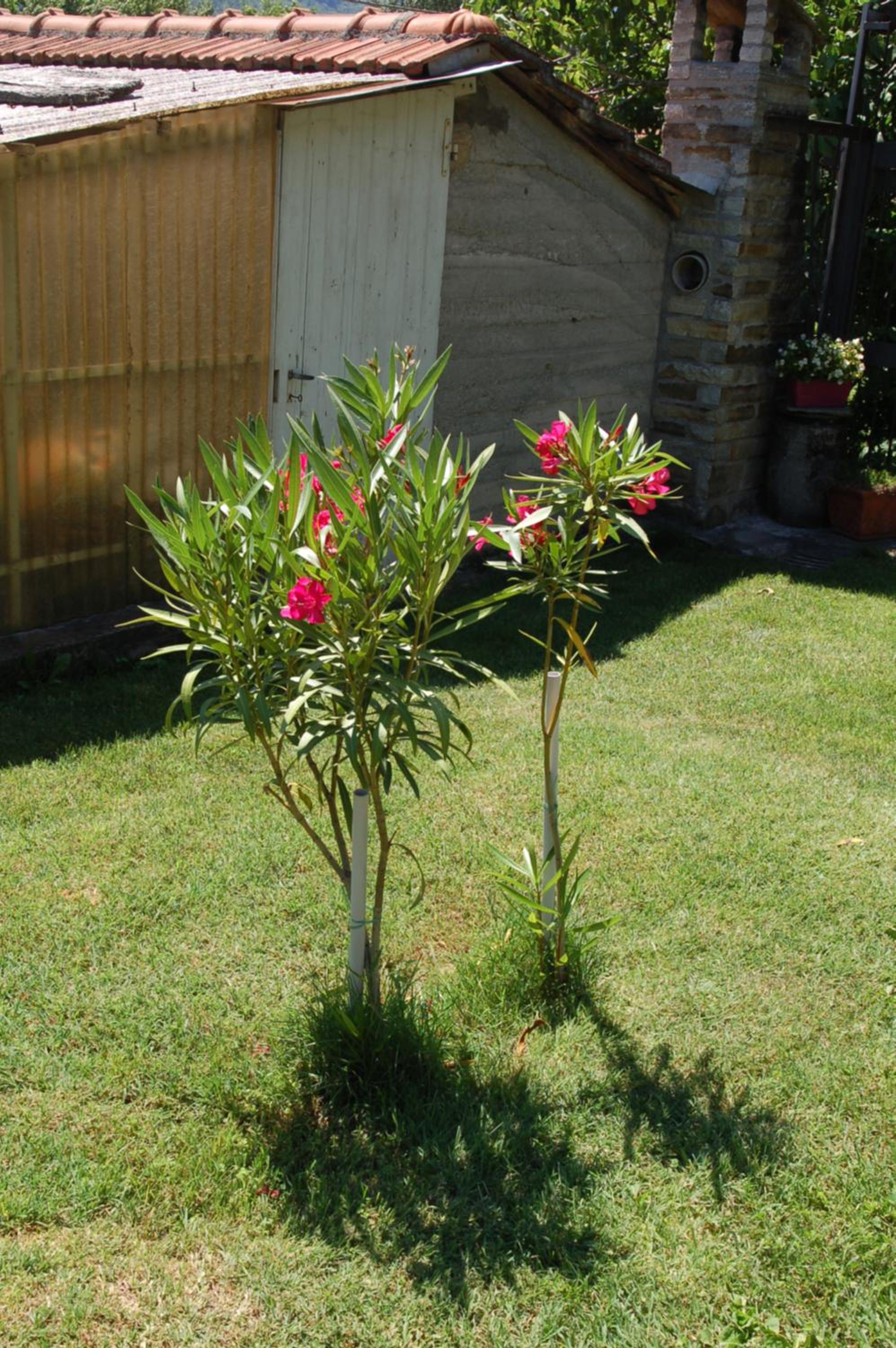 Photo 29