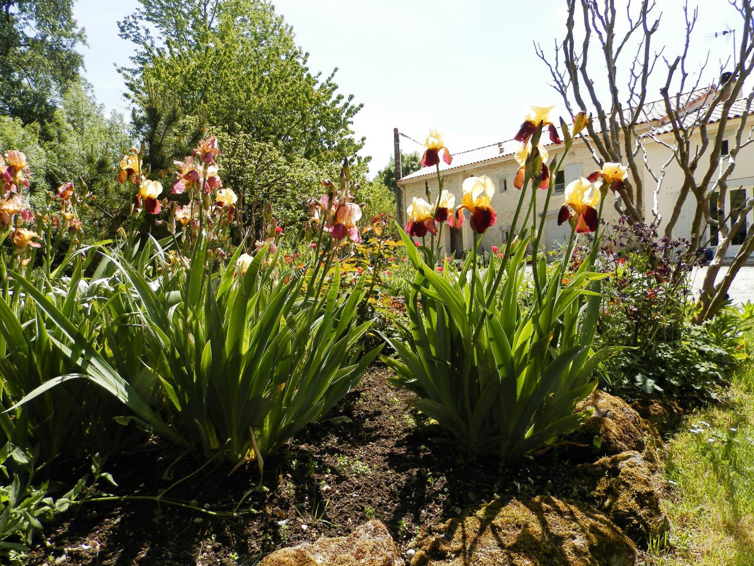 Photo 6