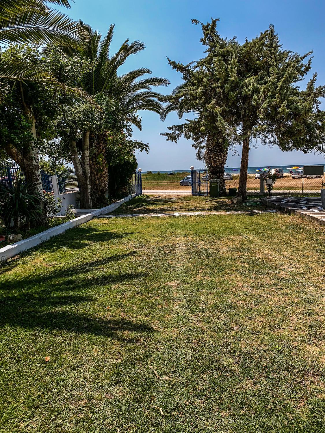 Galinis' Sea Front Studios view 3