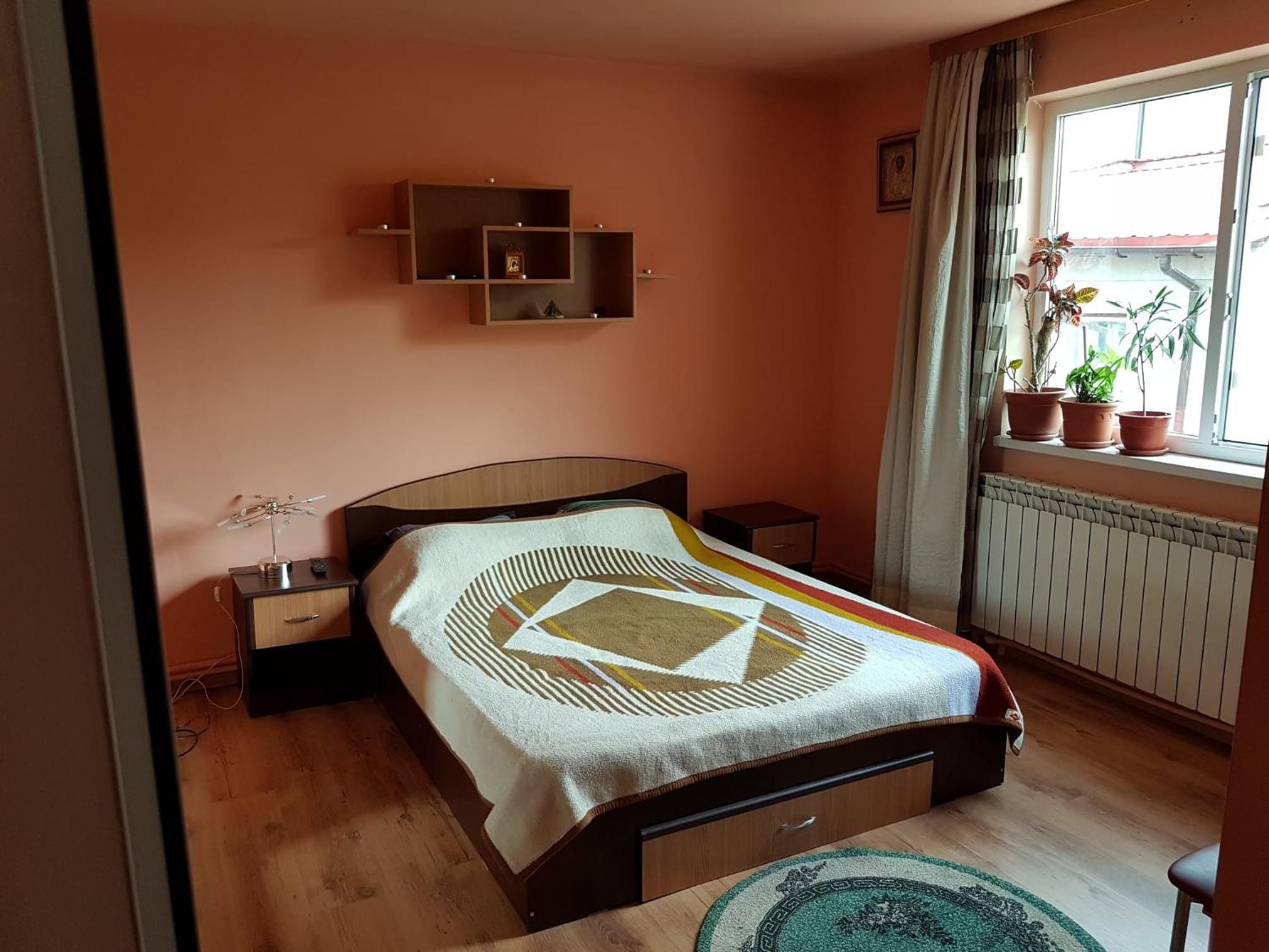Sasha's Place view 5