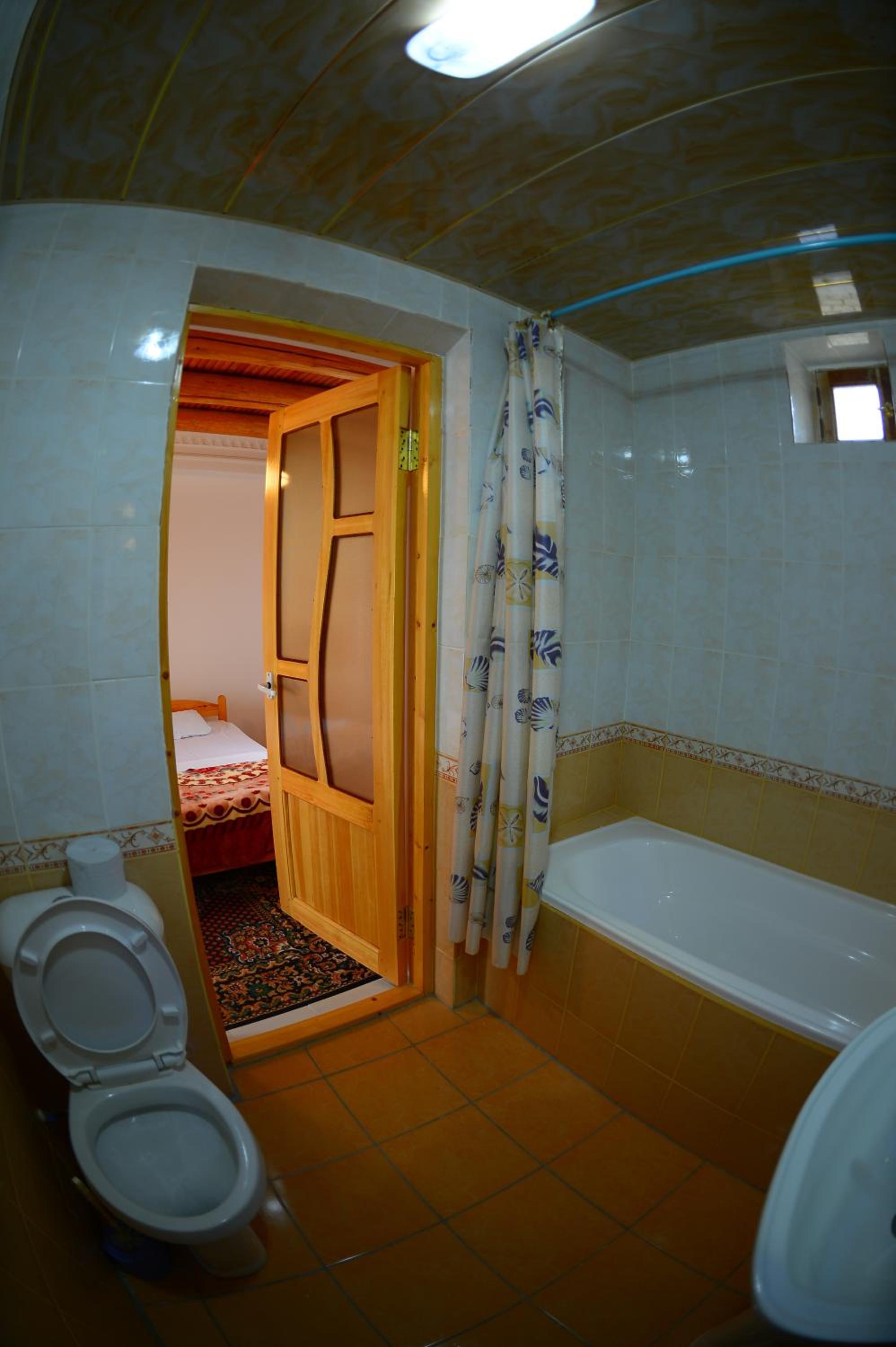 Samani Bukhara view 5