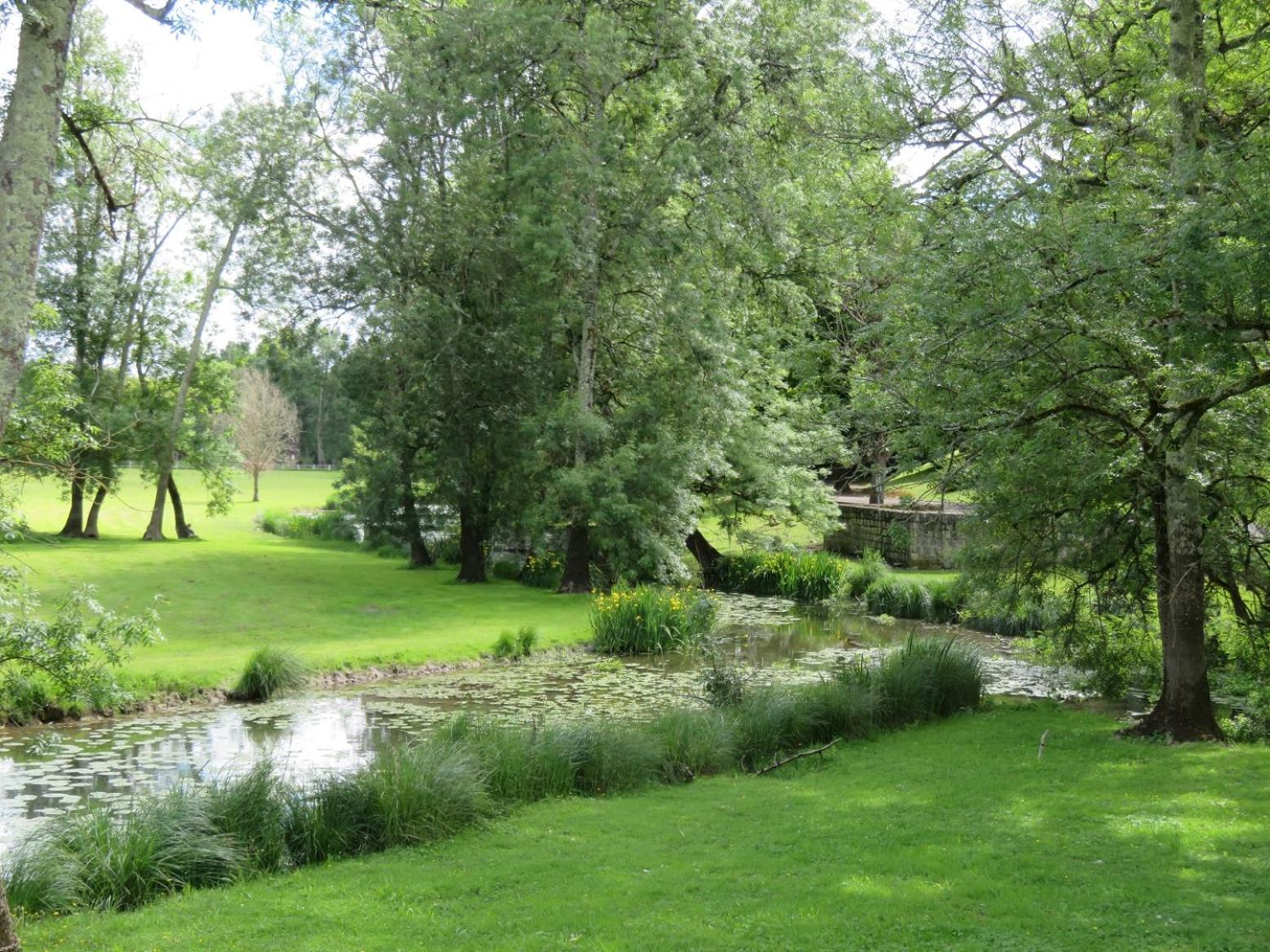 Photo 44