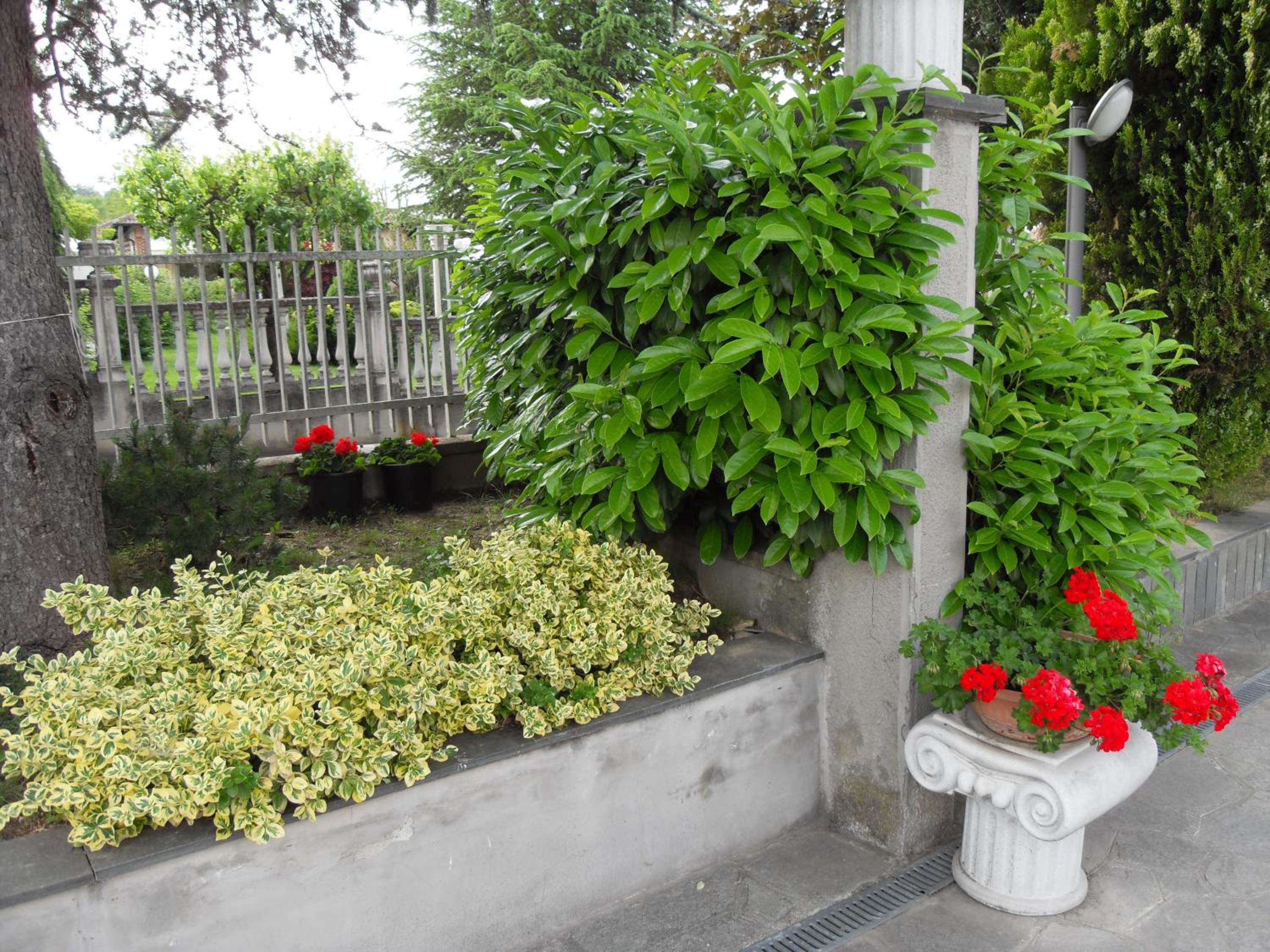 Photo 26