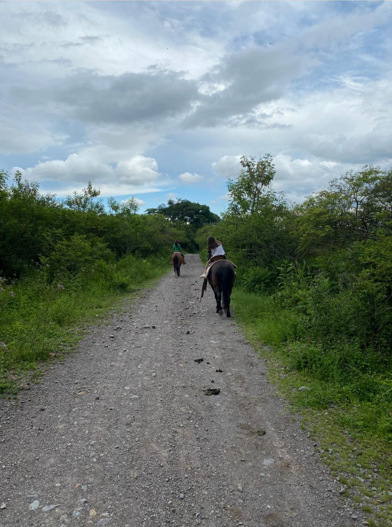 Paseo de los Poetas Esteco 260