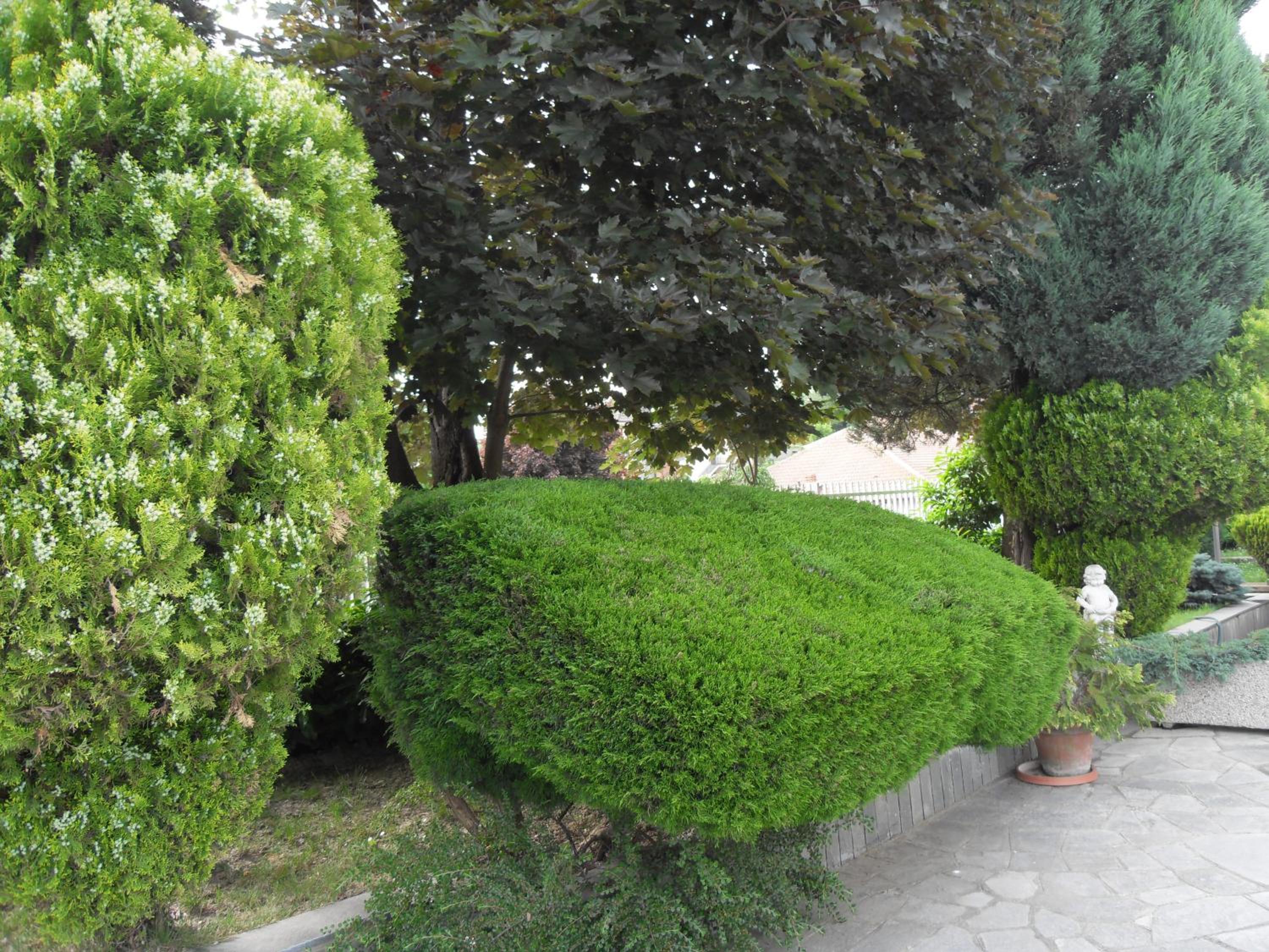 Photo 27