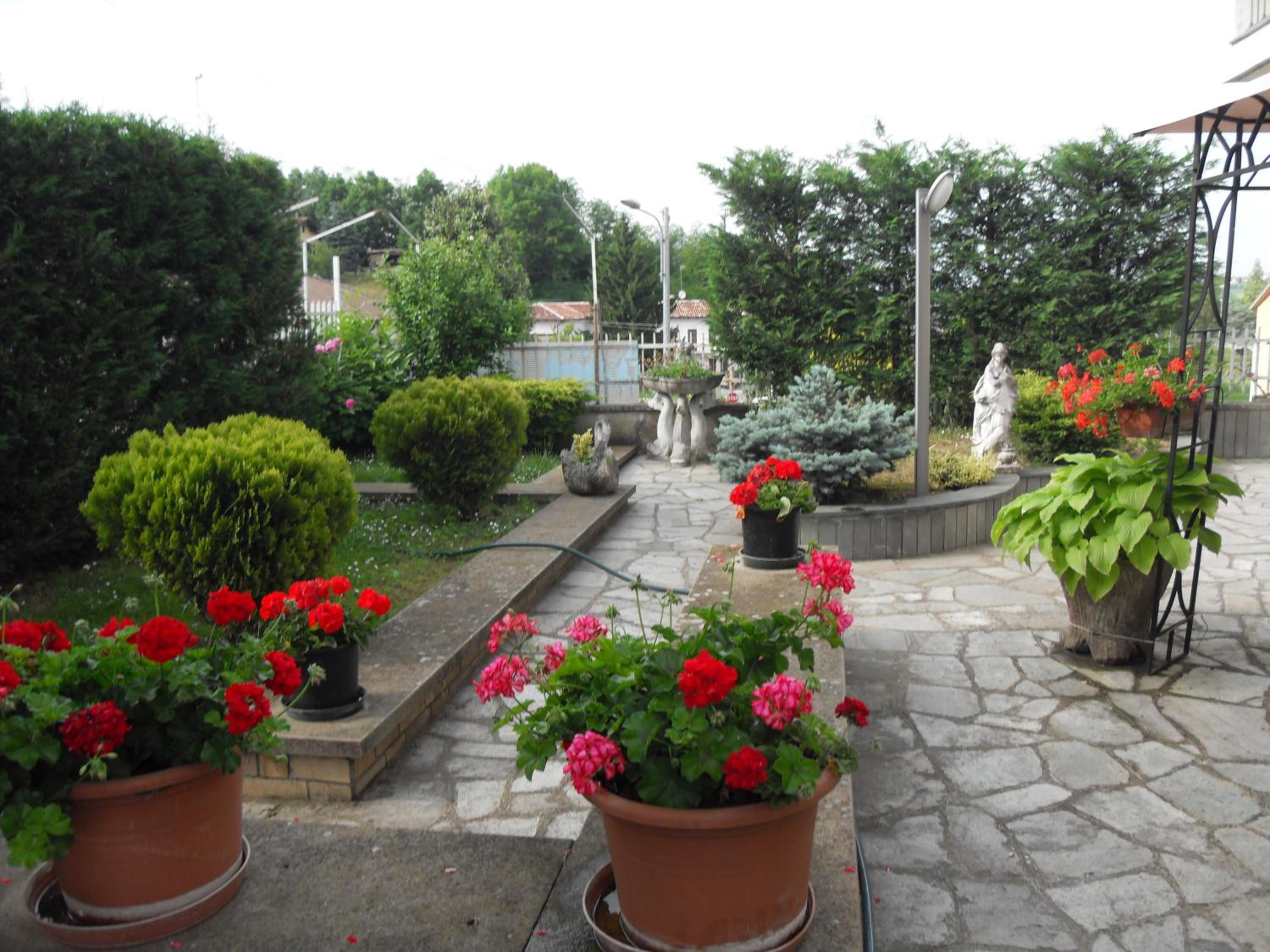 Photo 24
