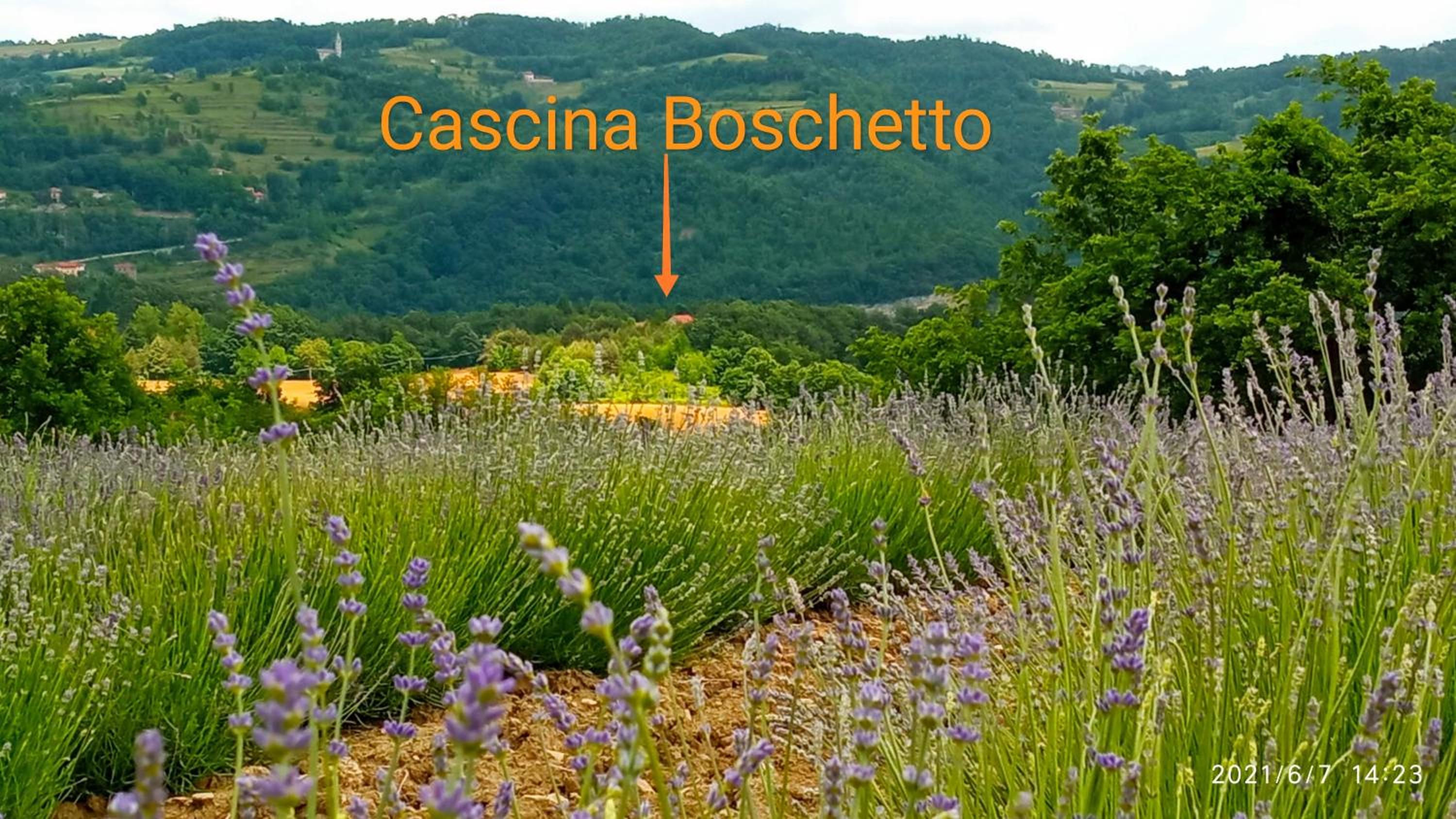 Cascina Boschetto view 5
