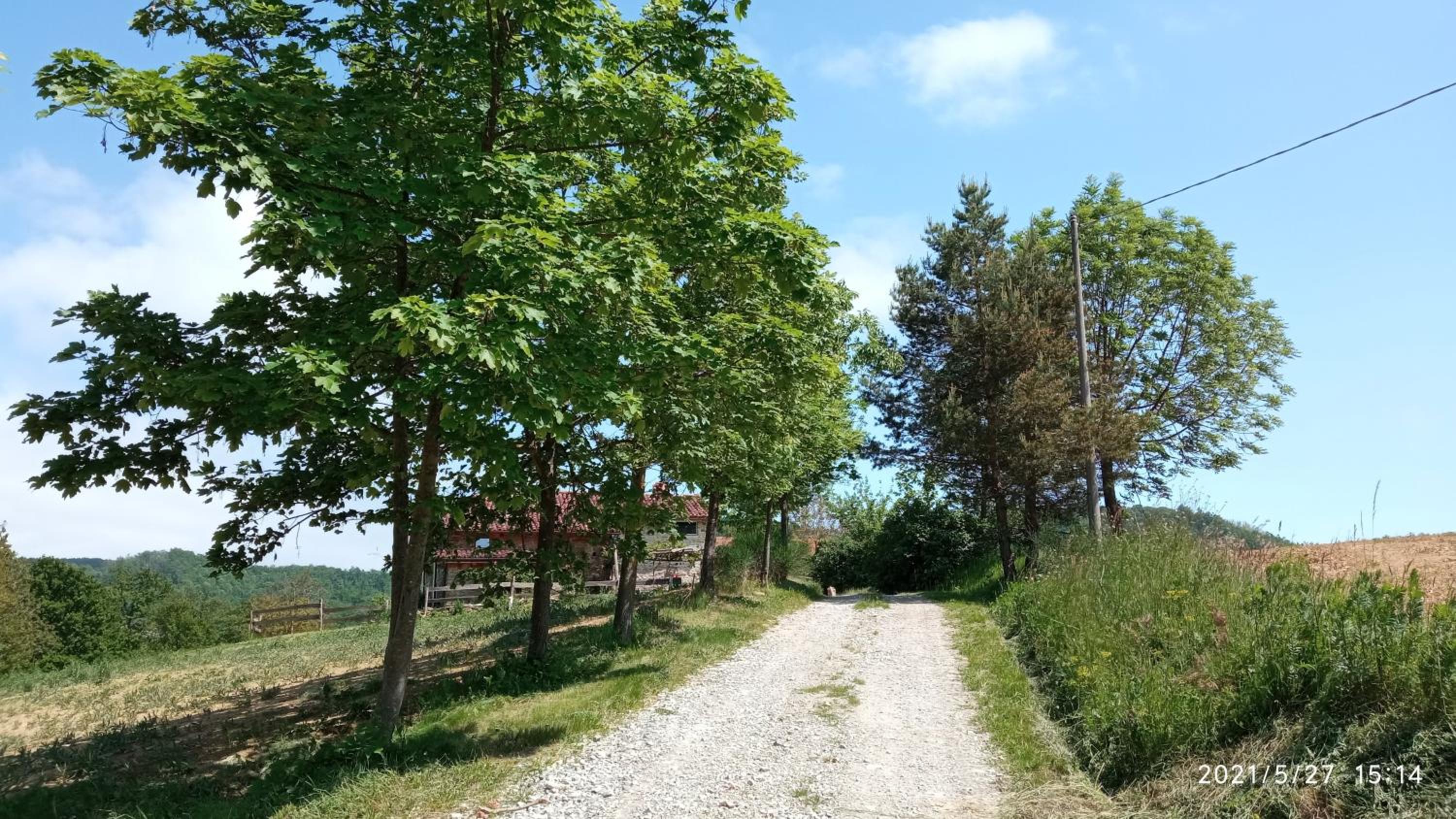 Photo 27
