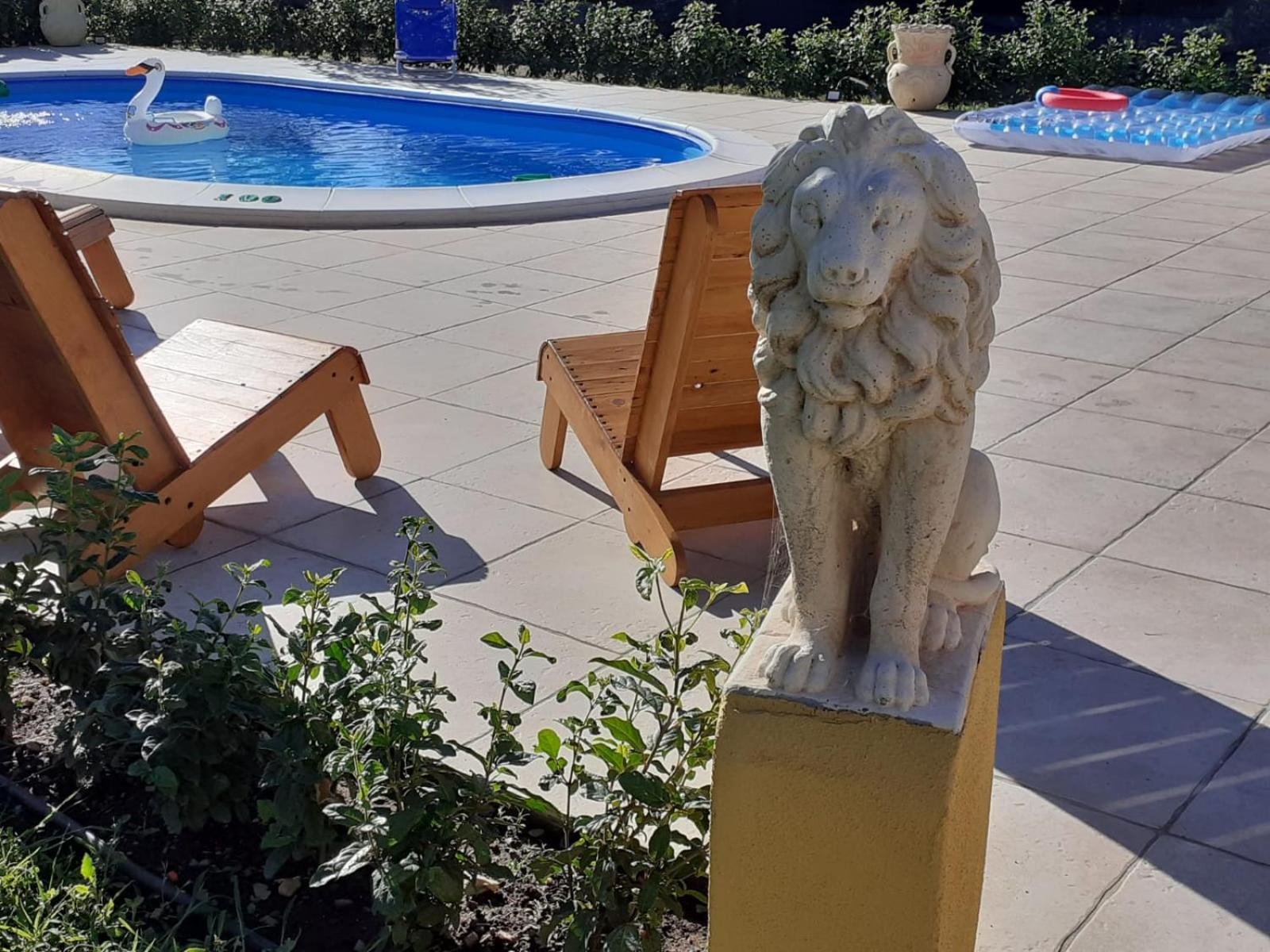 Indipendente con PISCINA USO ESCLUSIVO Internet illimitato, photo 19
