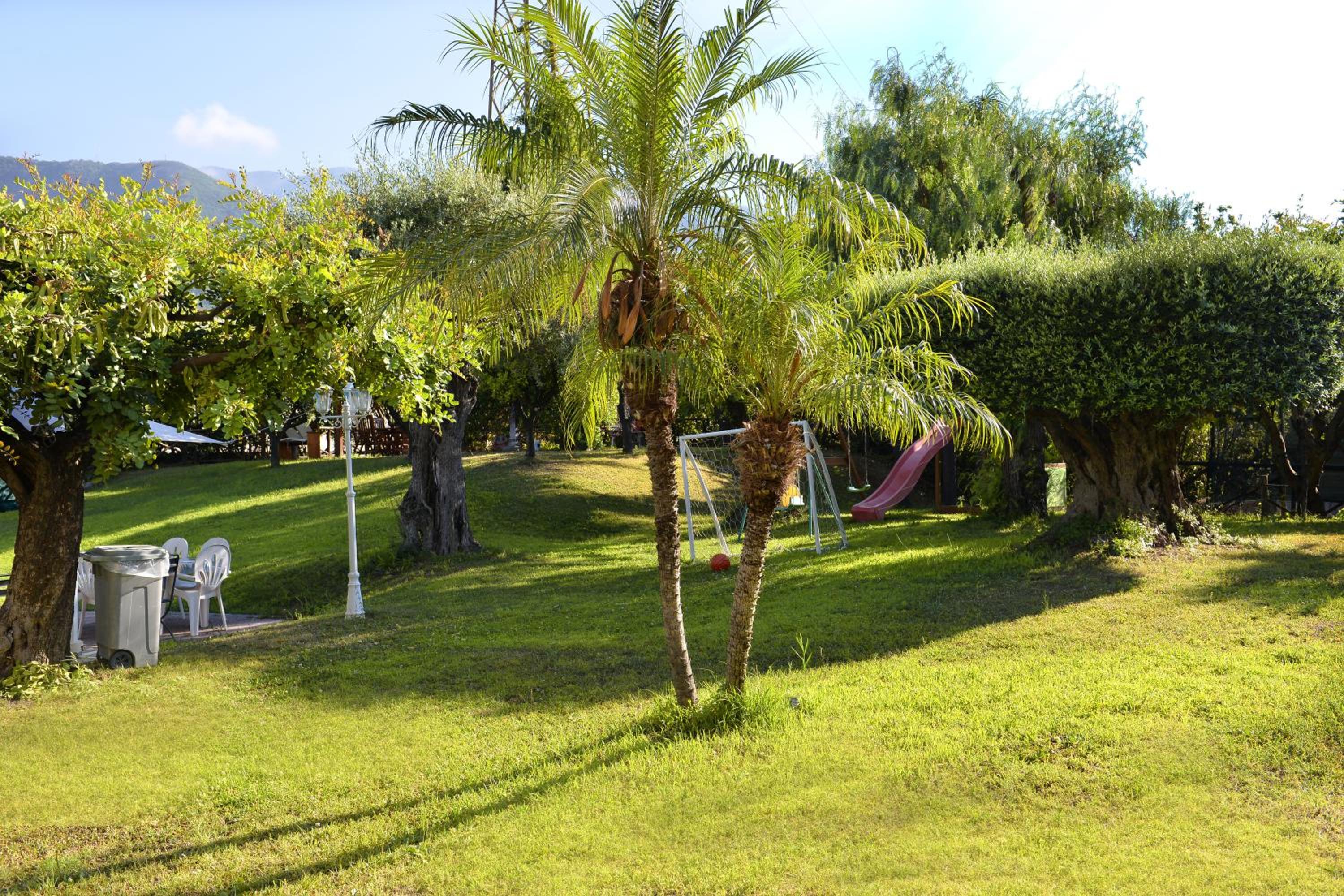 Photo 21