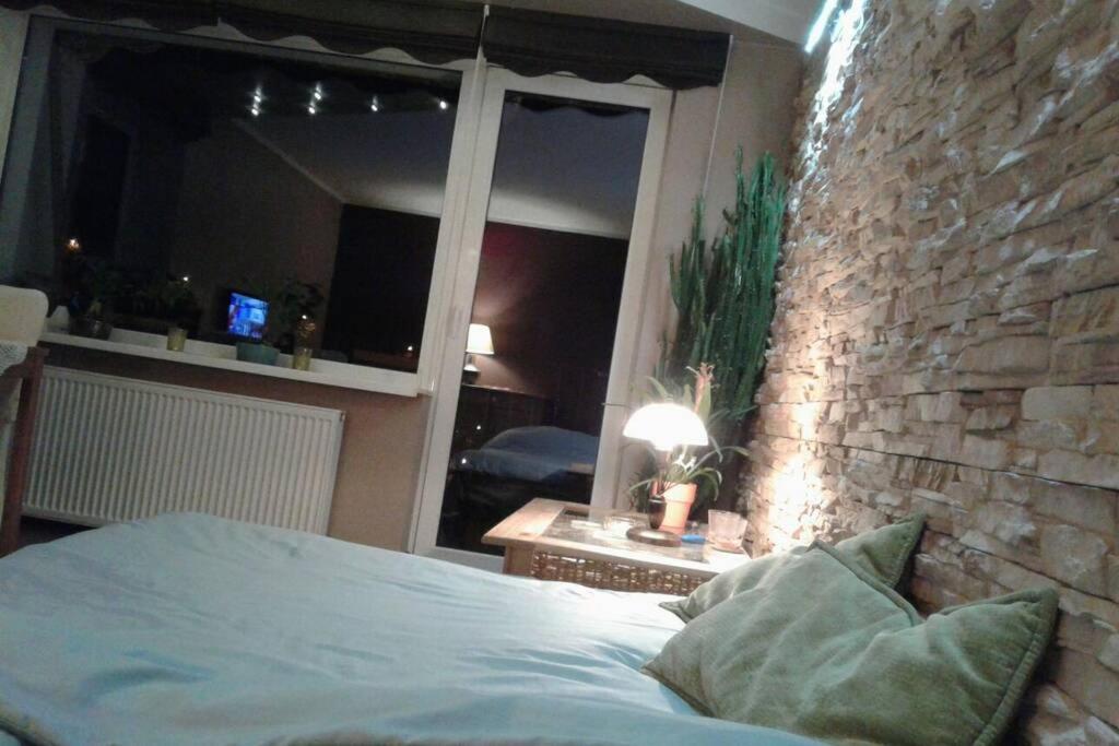 Apartament rodzinny 2 pokojowy. Widok na Snieżke. view 2