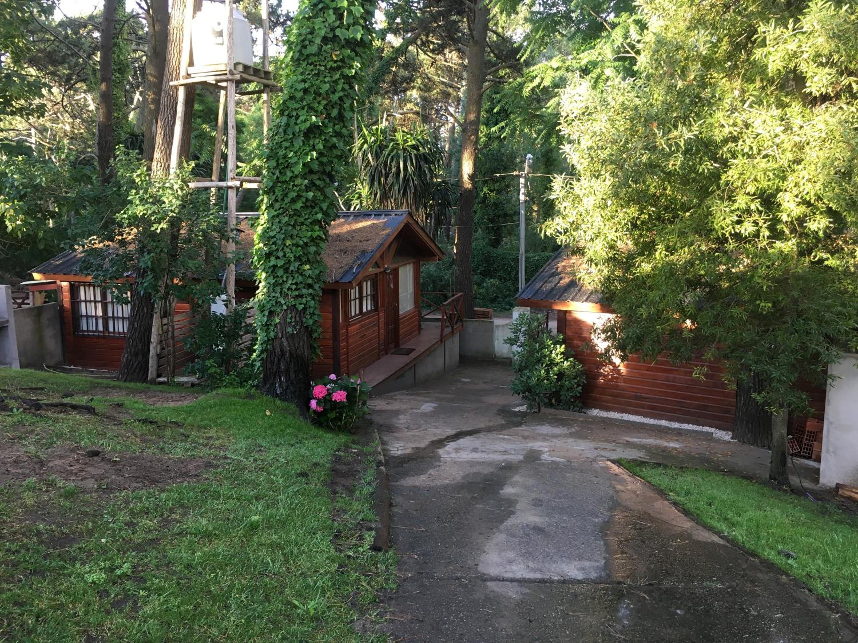 Cabañas Entre Pinos