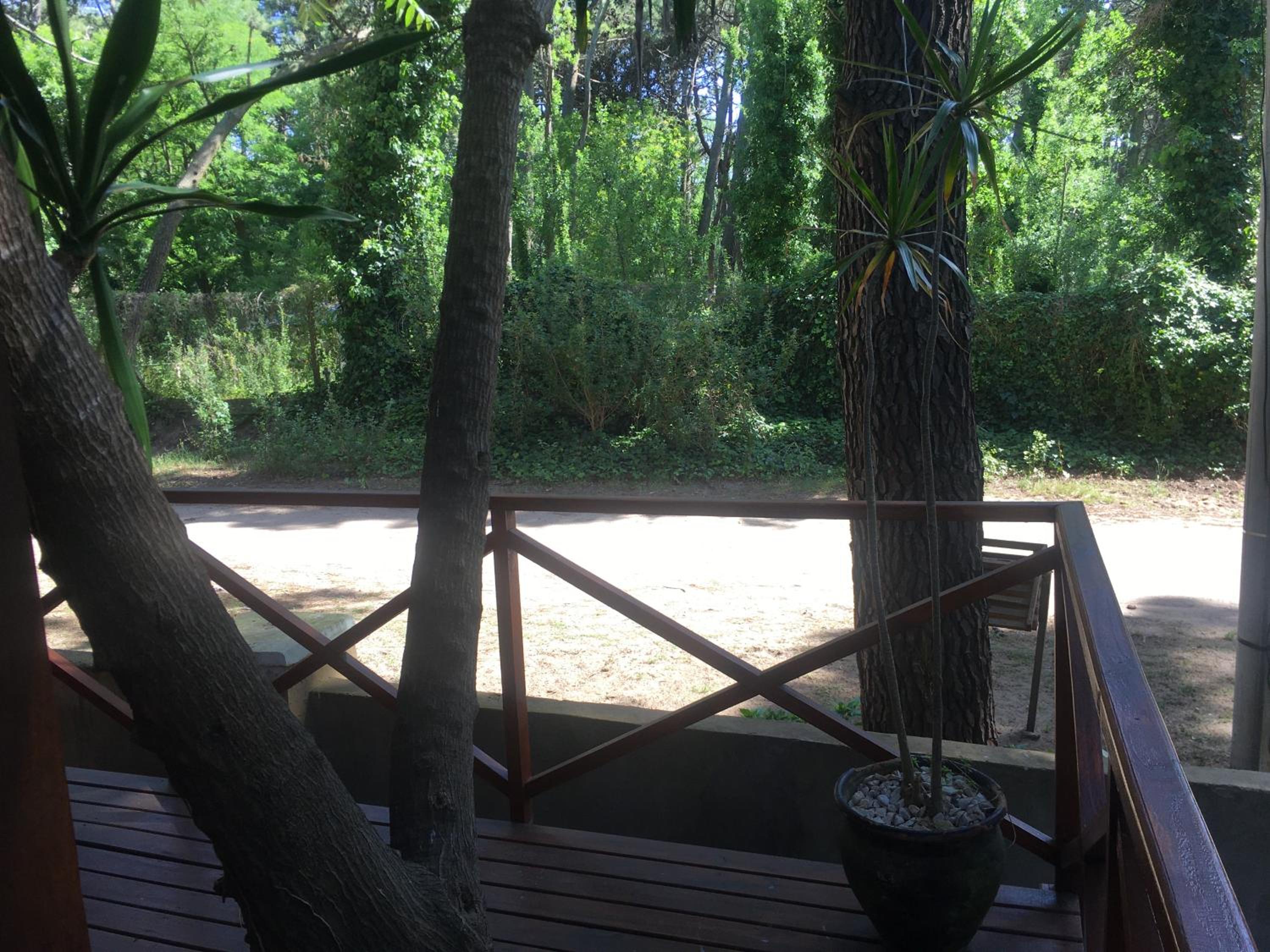 Cabañas Entre Pinos
