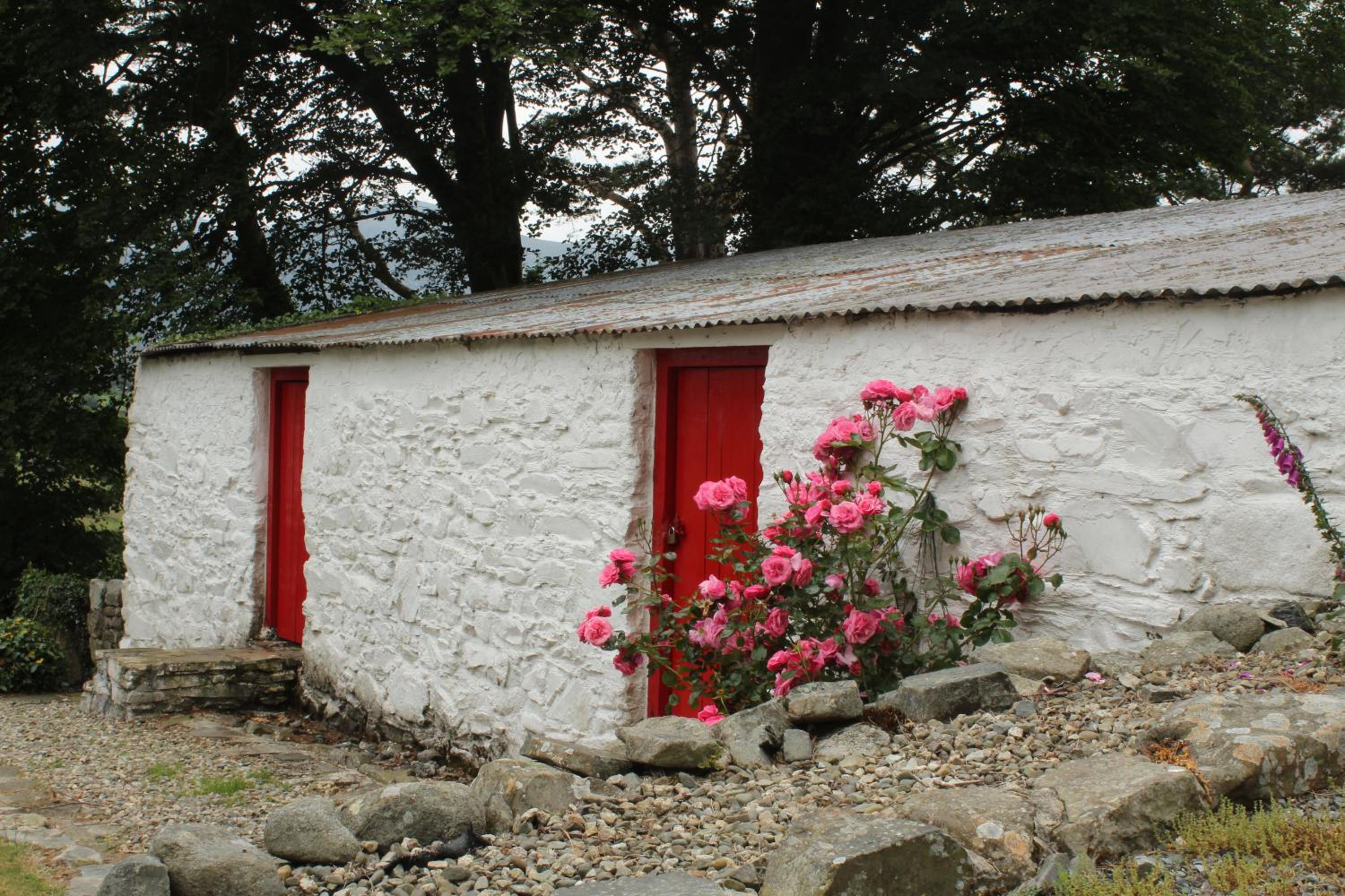 Photo 16