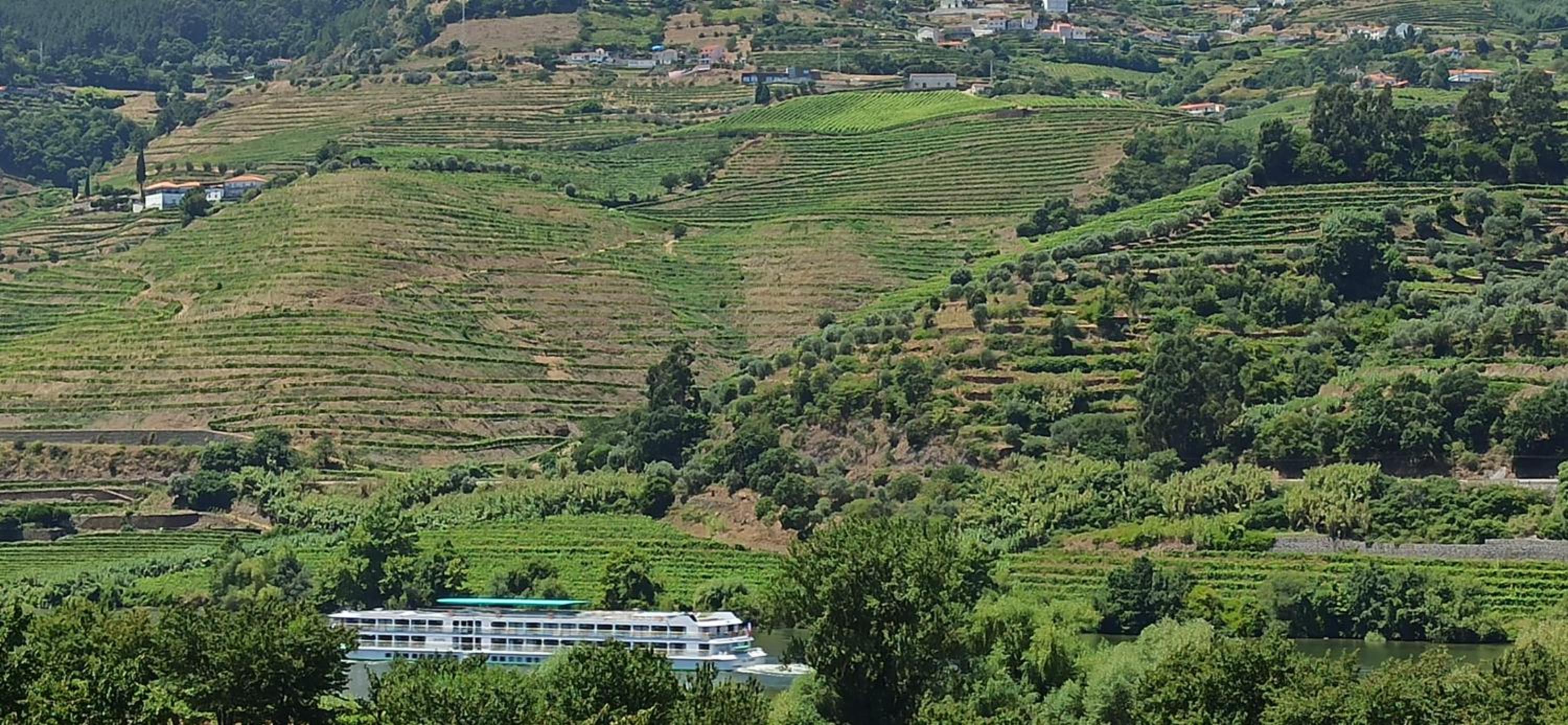Vineyards Valley House view 3