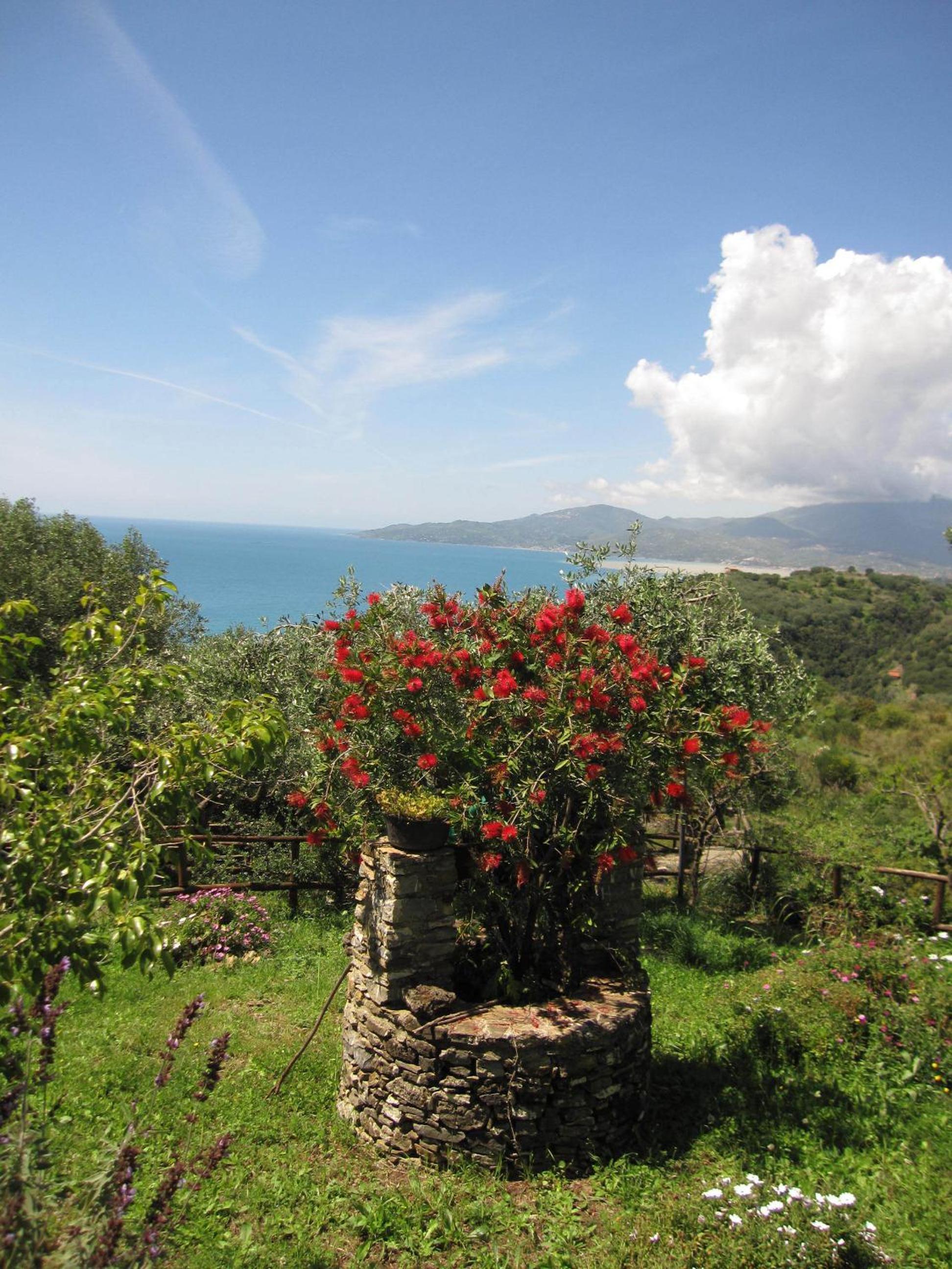 Agriturismo La Casa Vecchia view 5