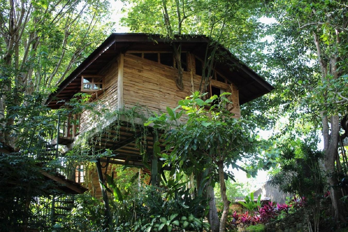 Roots Tree House view 2