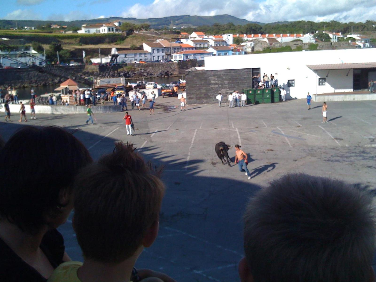 Photo 43