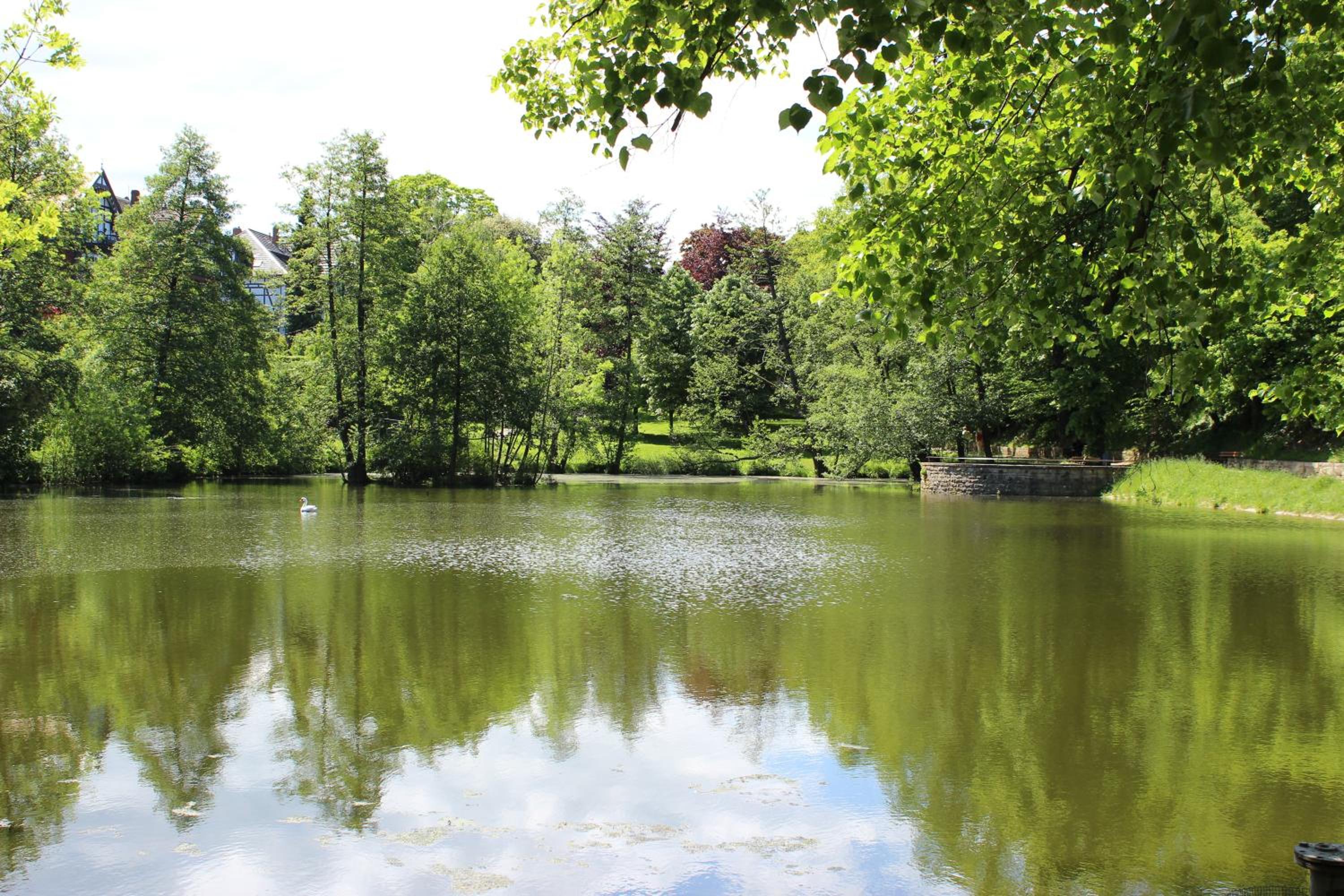 Ferienwohnungen Burg im Zwinger