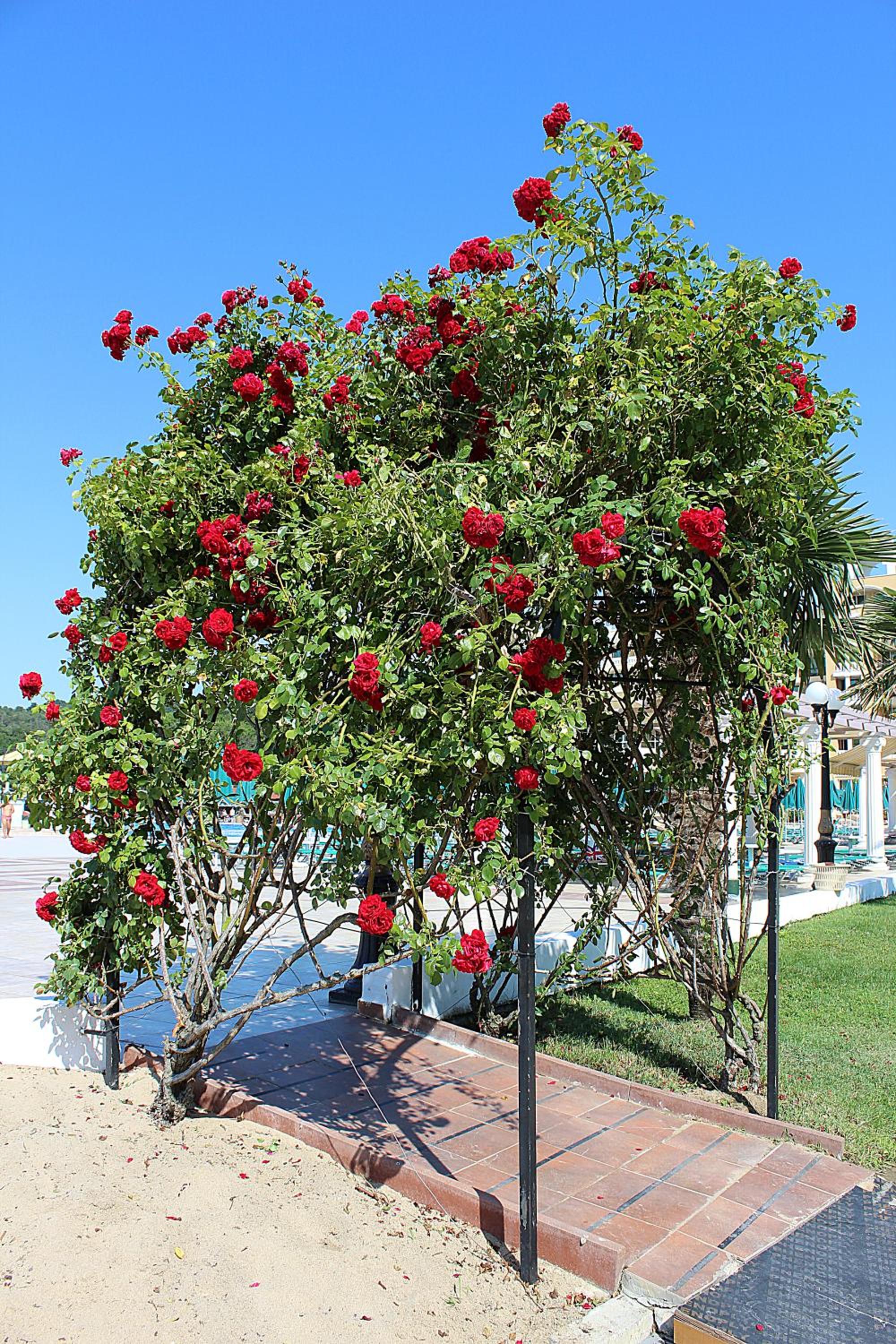 Duni Marina Beach Hotel - All Inclusive