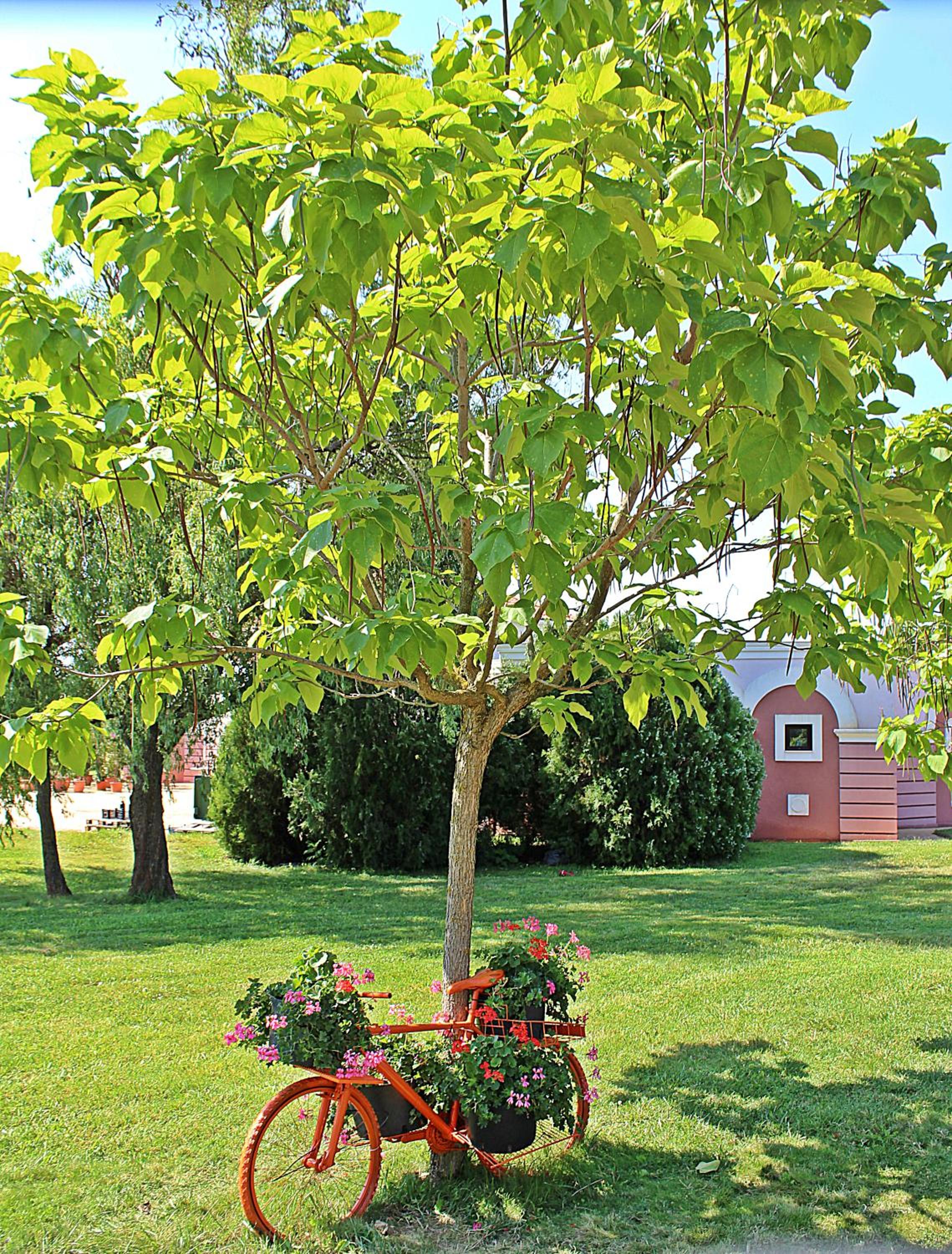 Duni Holiday Village - All Inclusive