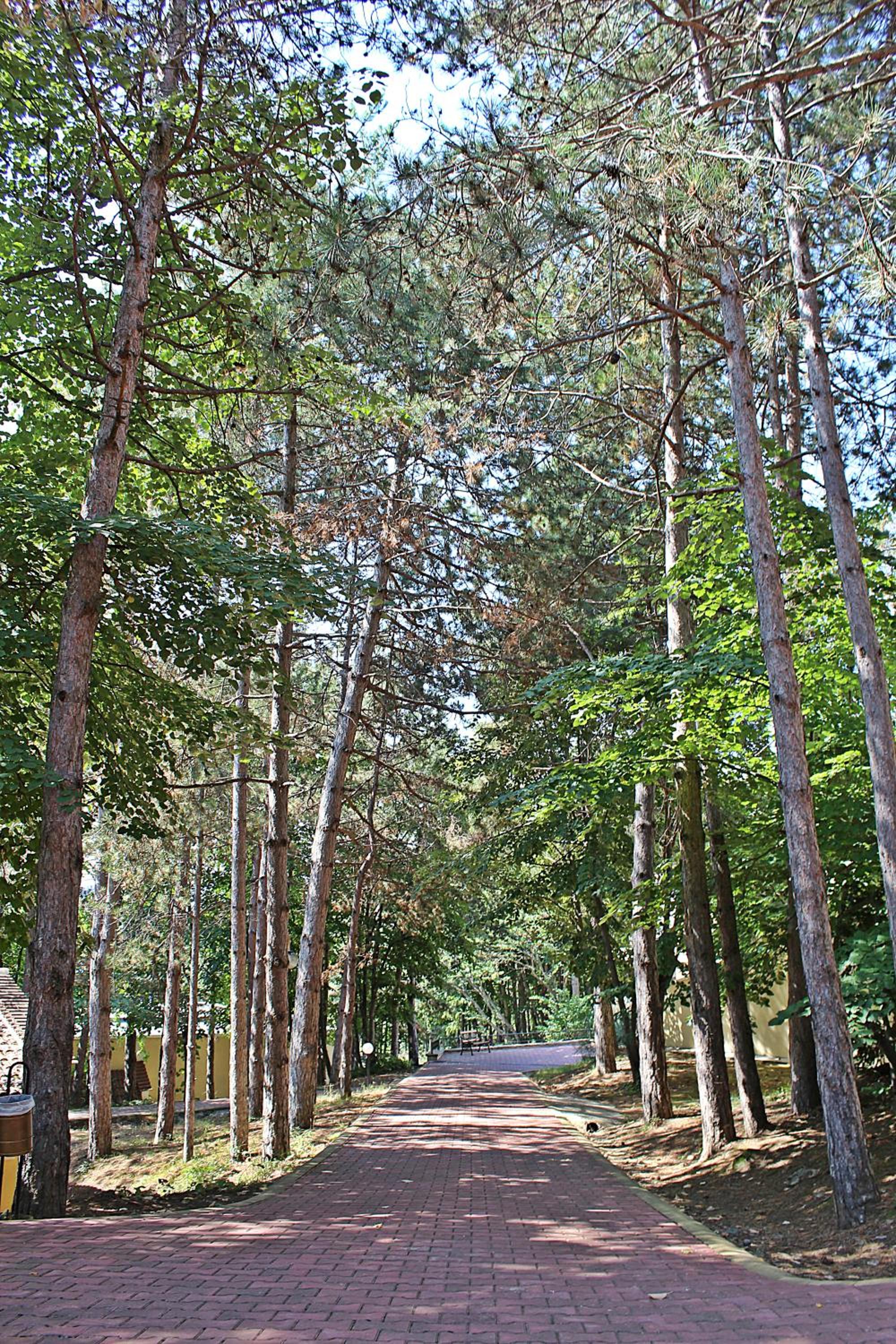 Duni Holiday Village - All Inclusive