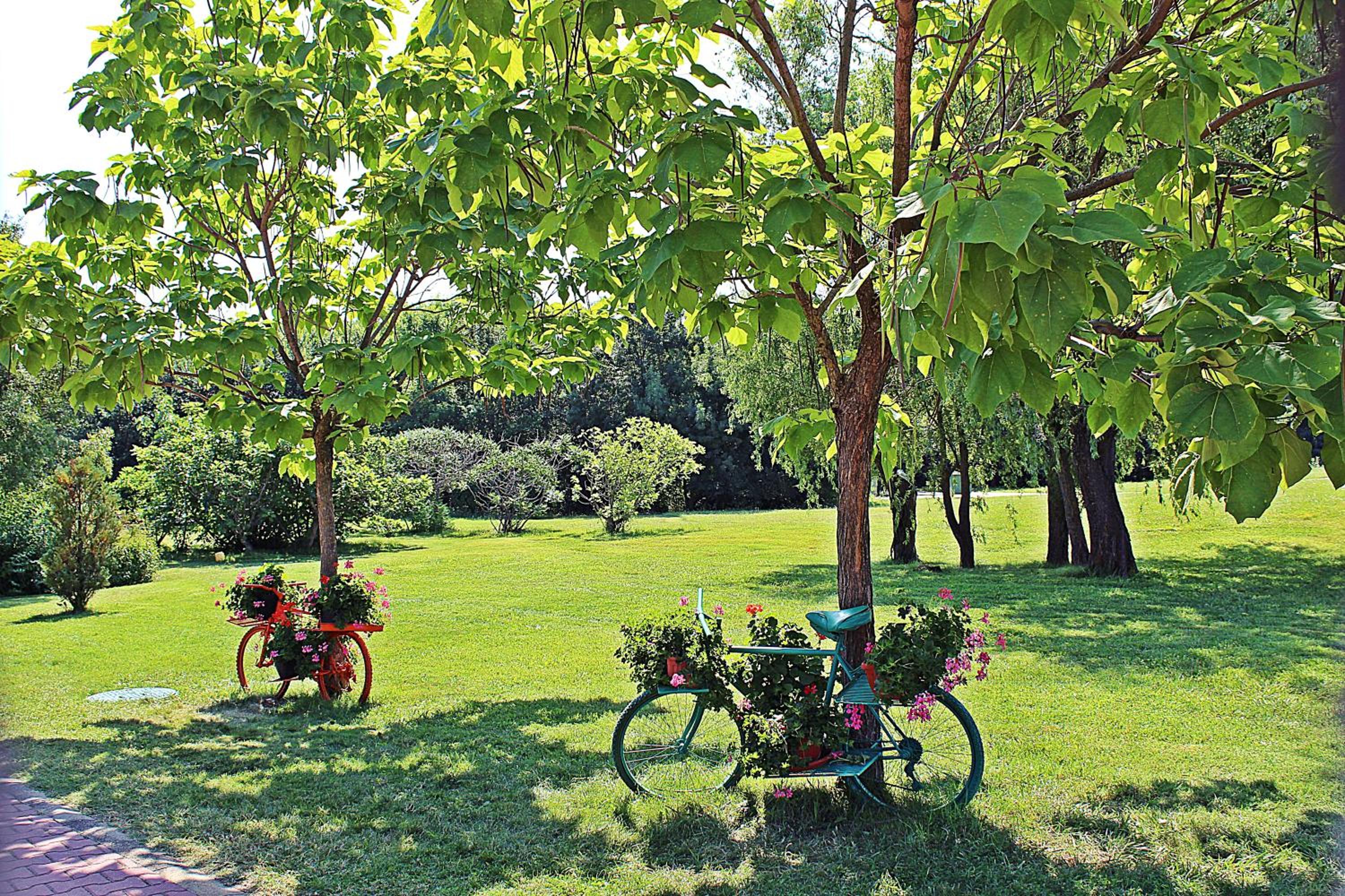 Duni Holiday Village - All Inclusive