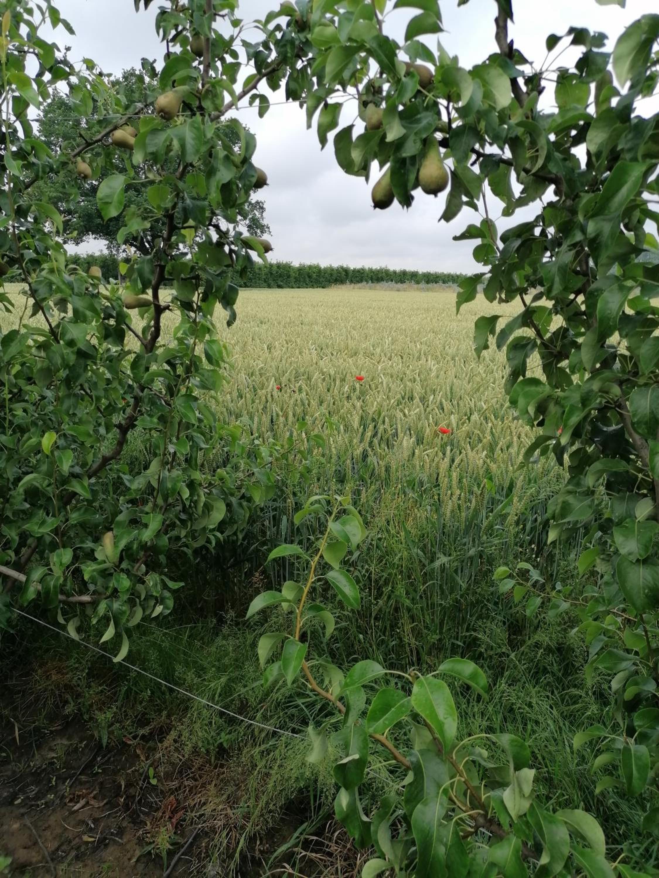 Vakantiewoning Upstairzzz view 3