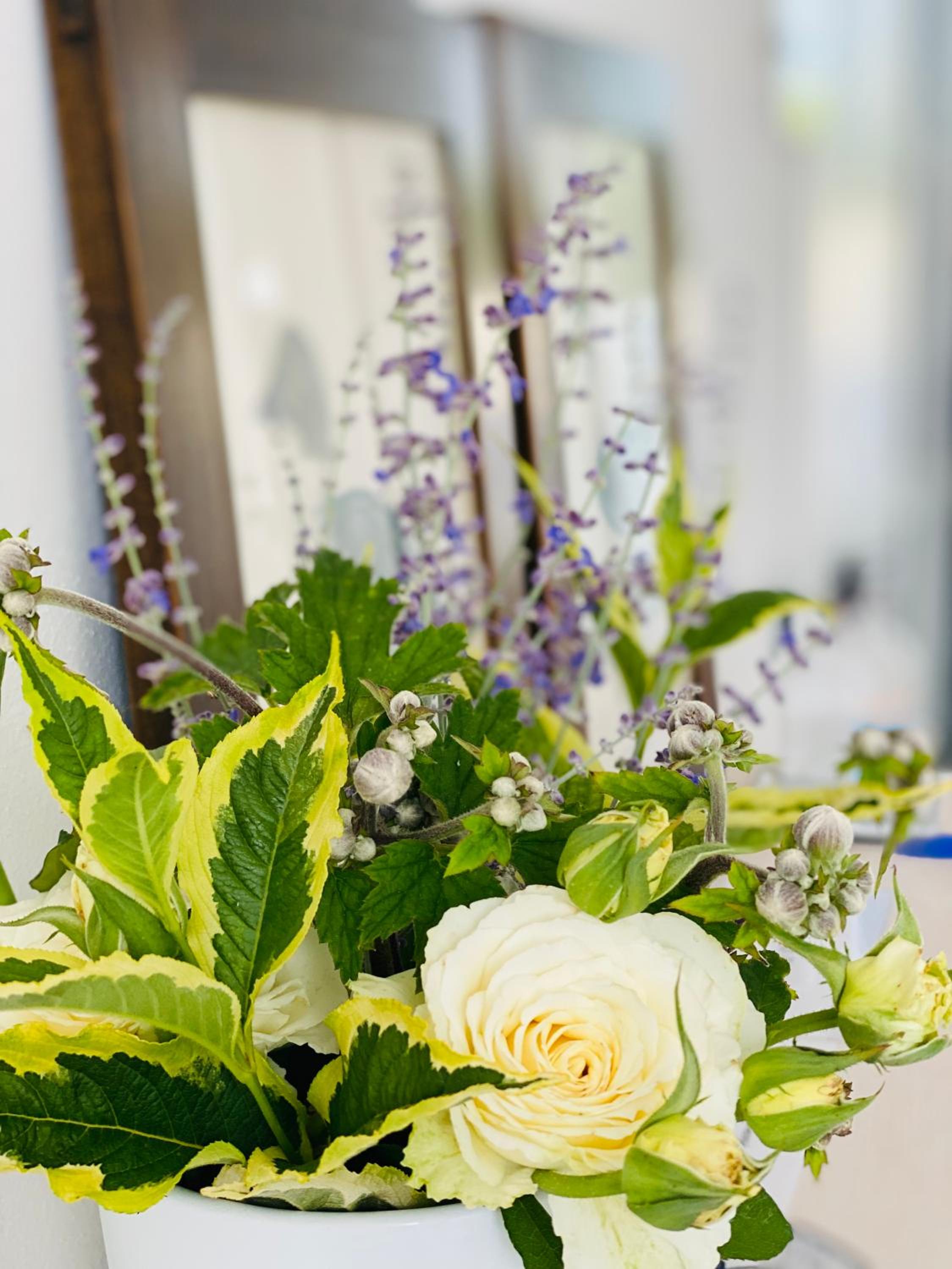 Green House in campagna - Property Image 14