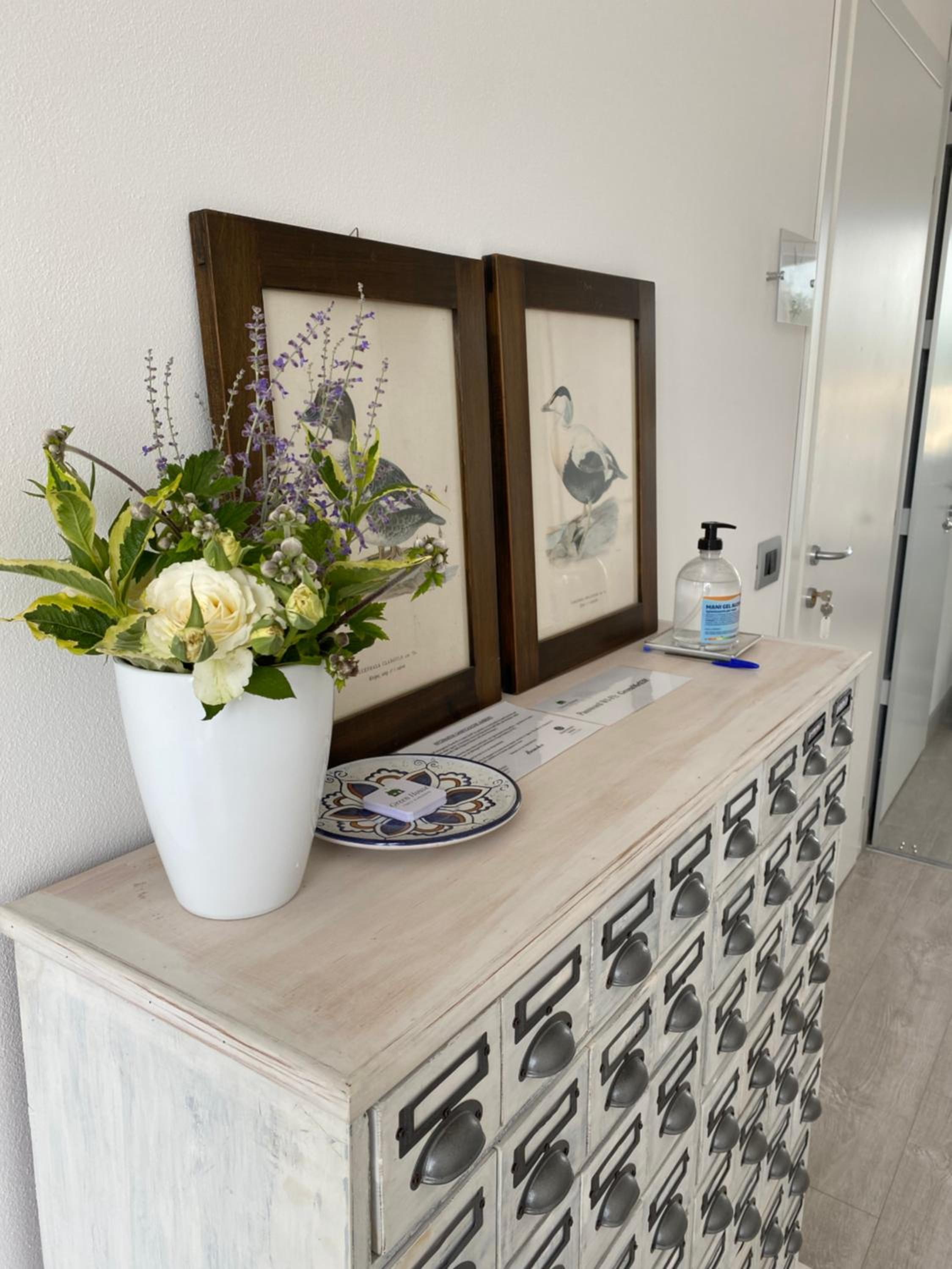 Green House in campagna - Property Image 9