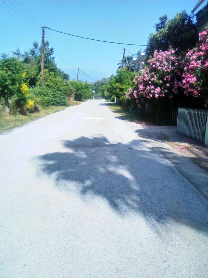Photo 26